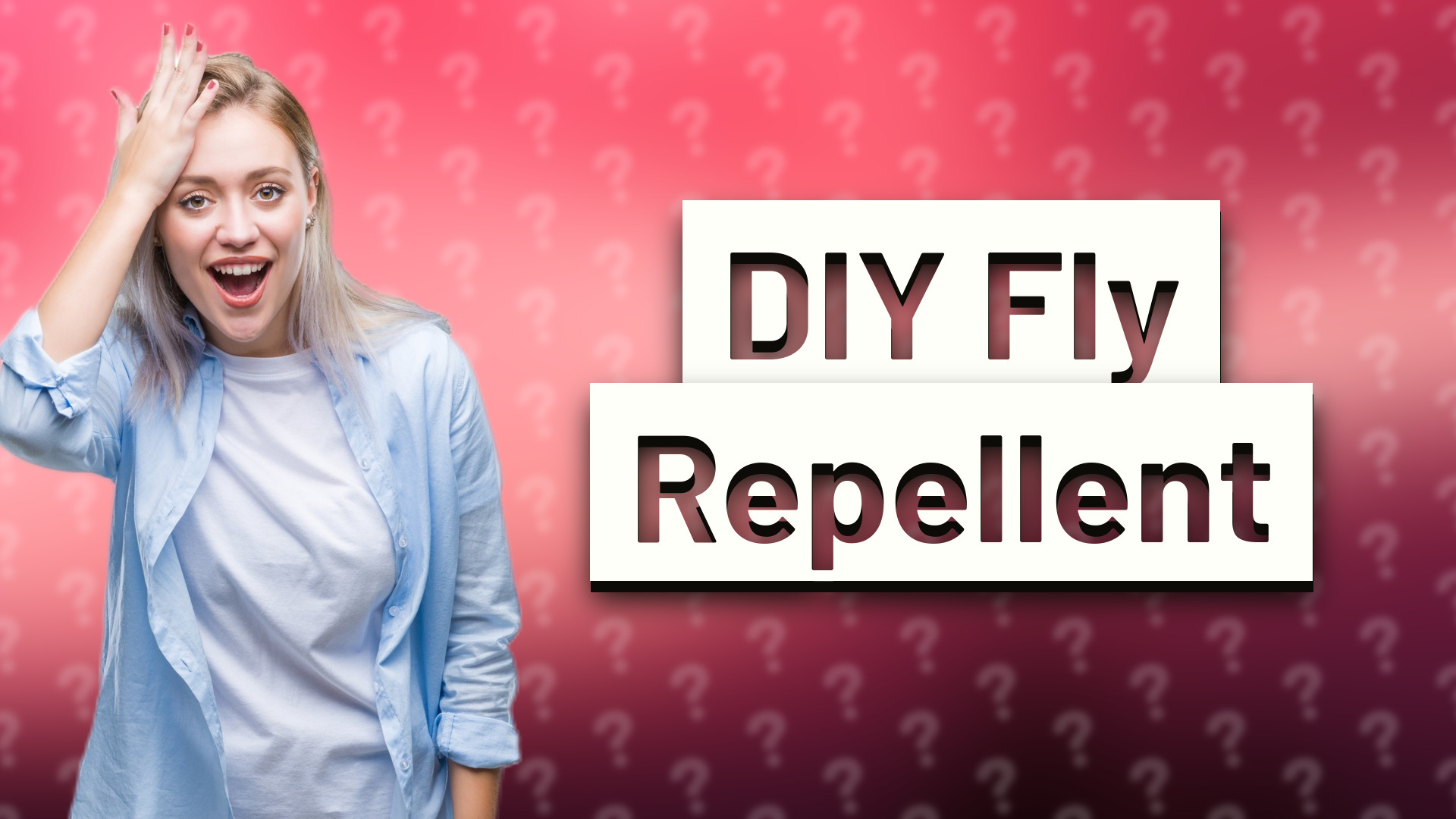 DIY Fly Repellent