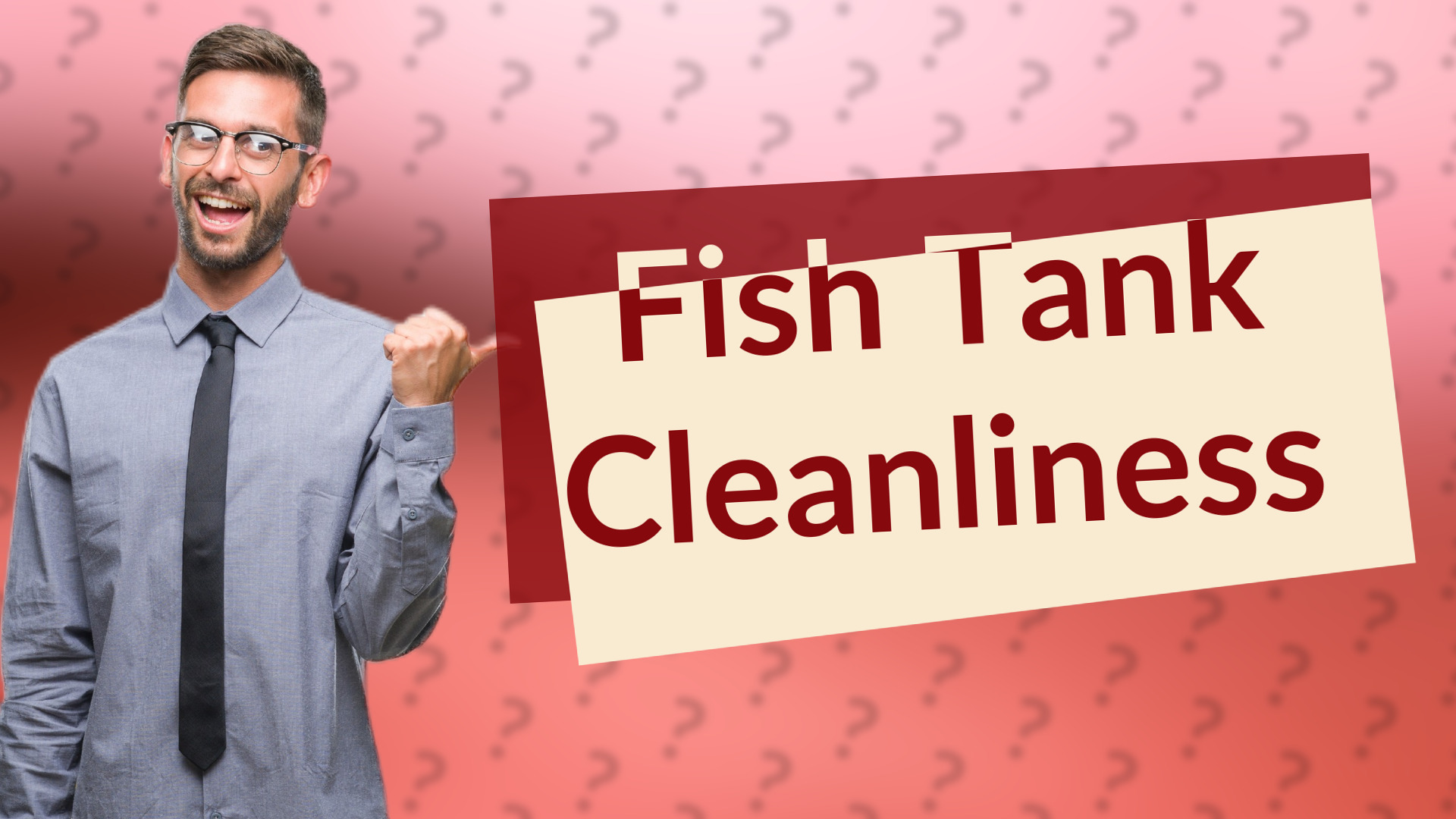Fish Tank Cleanliness