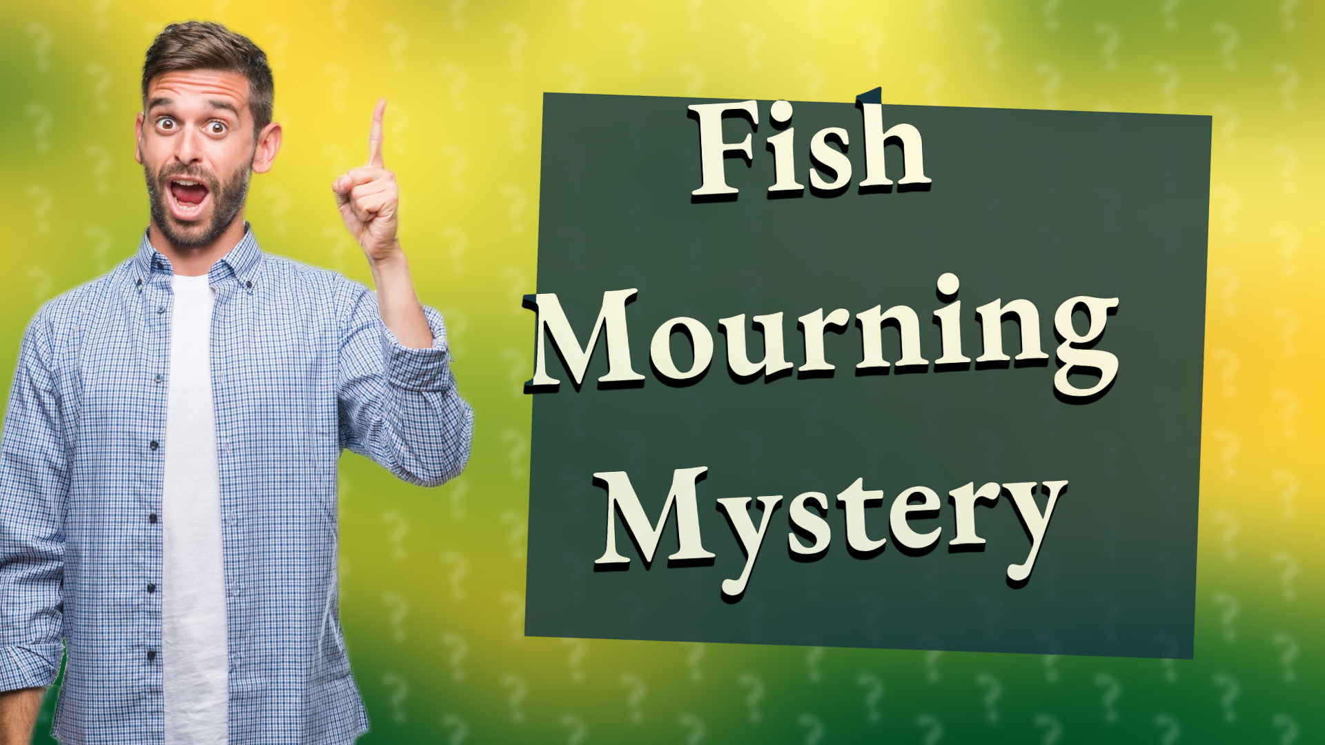 Fish Mourning Mystery