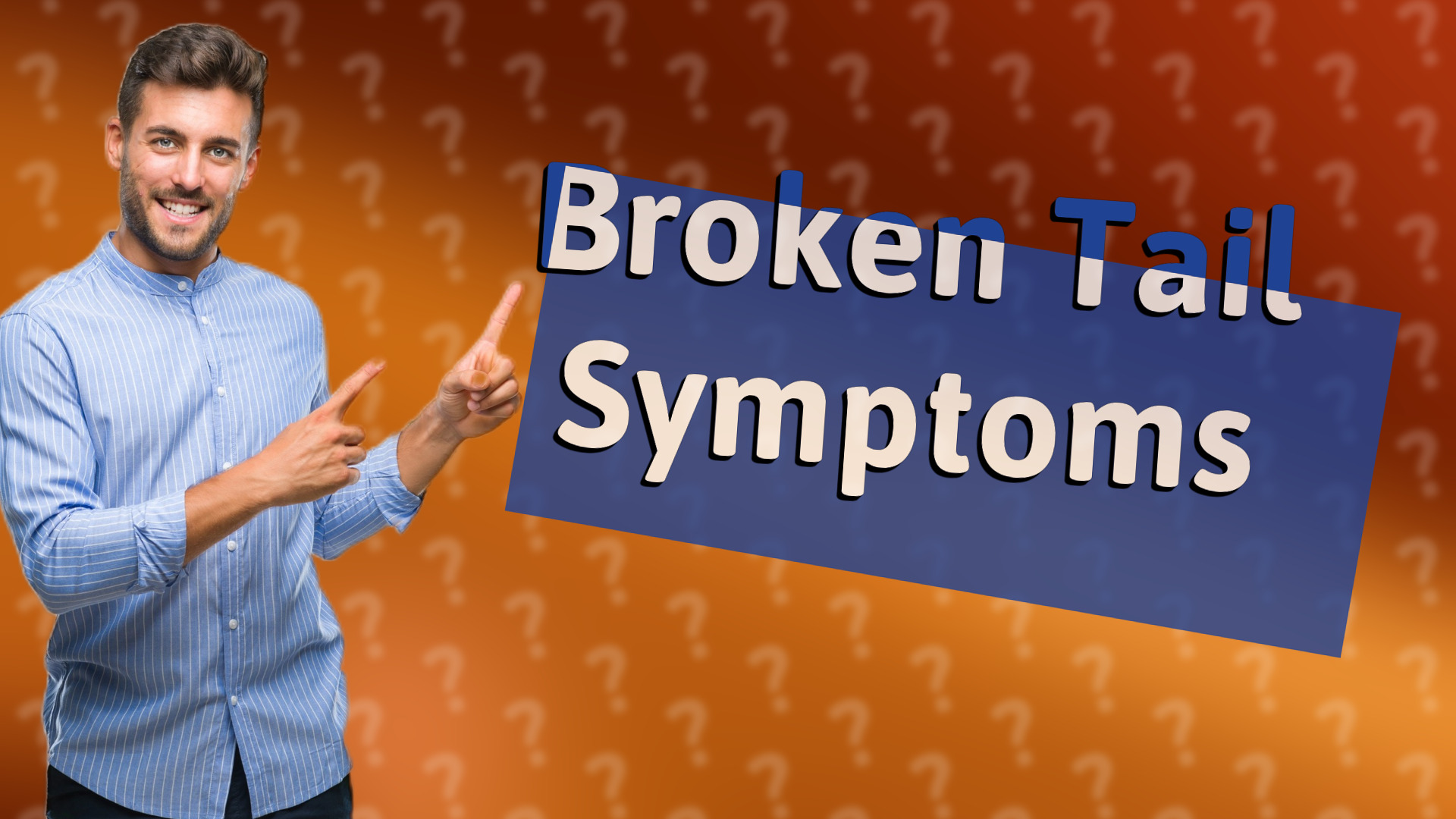 Broken Tail Symptoms