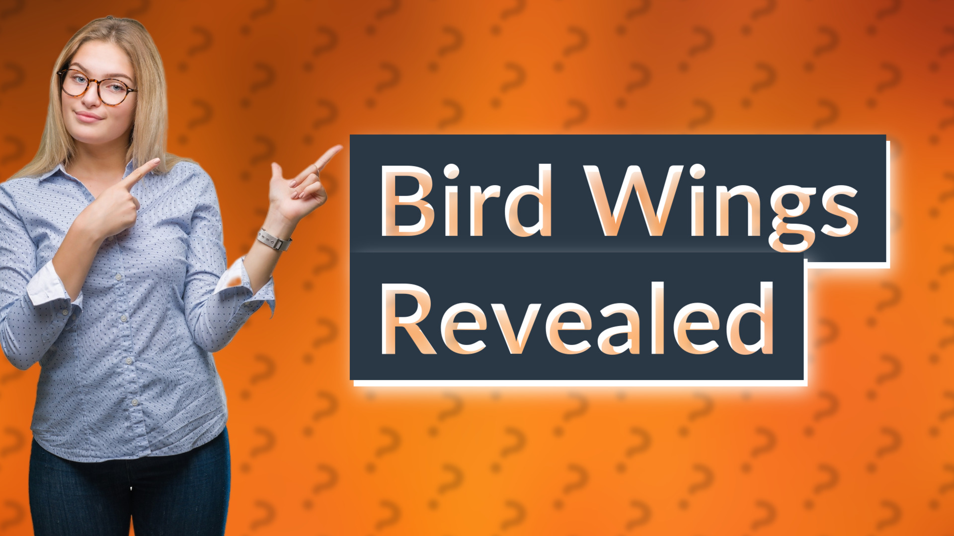 Bird Wings Revealed