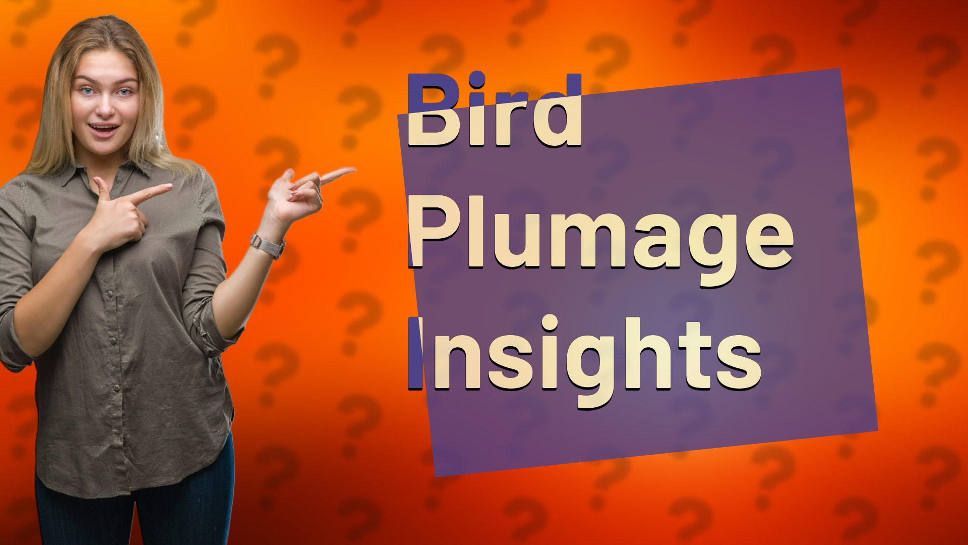 Bird Plumage Insights