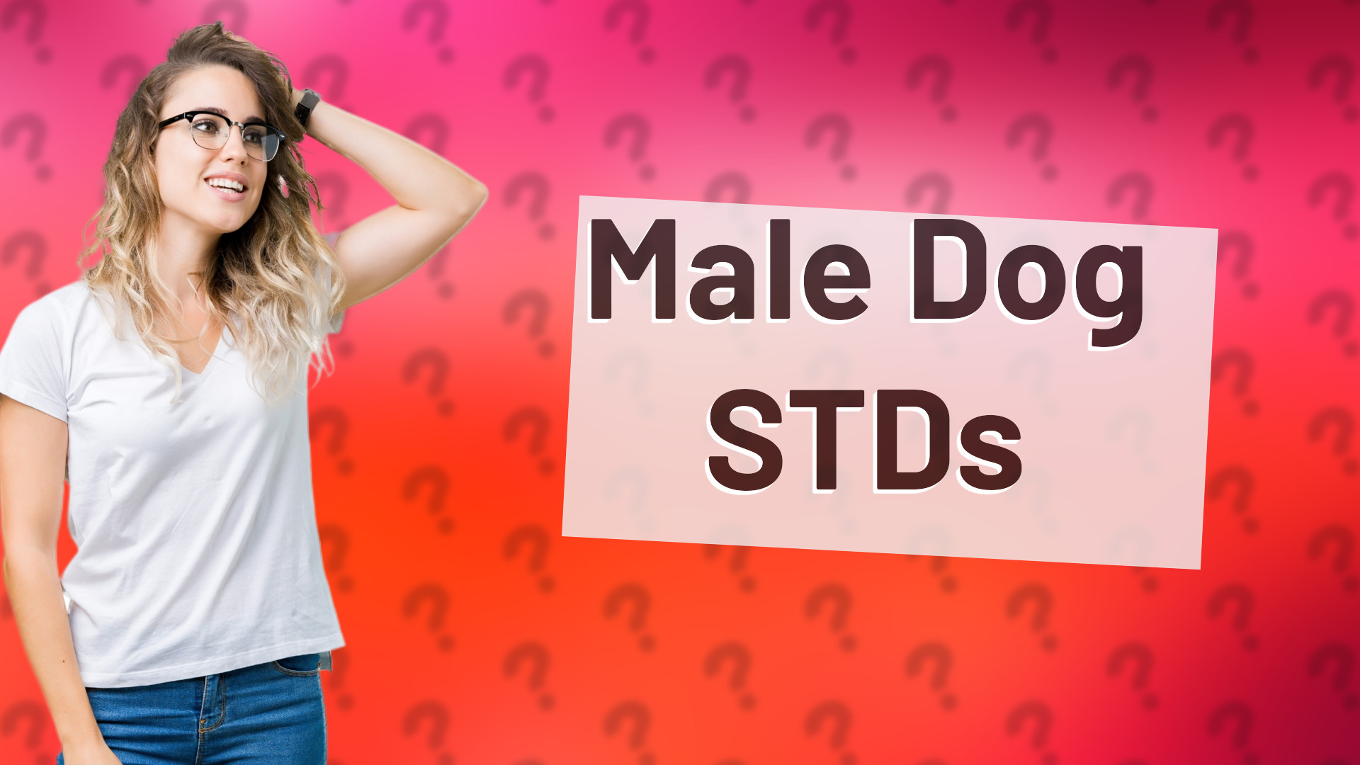 Male Dog STDs
