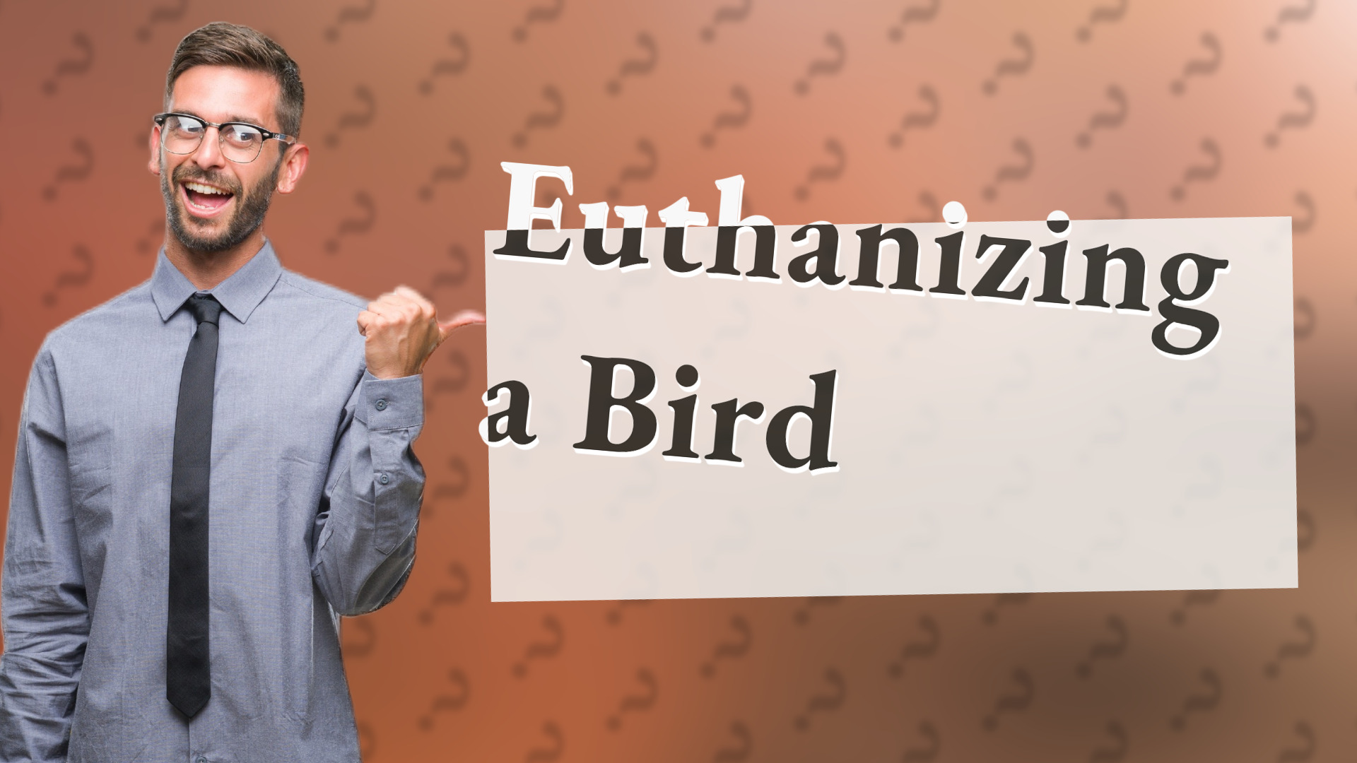 Euthanizing a Bird