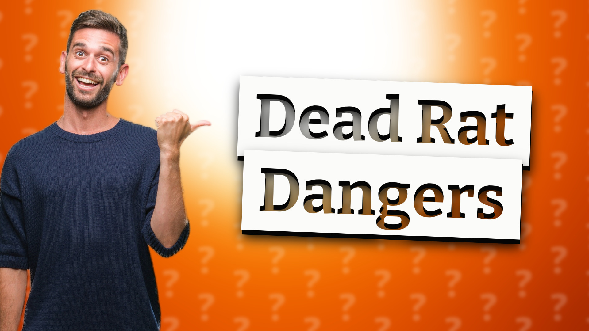 Dead Rat Dangers