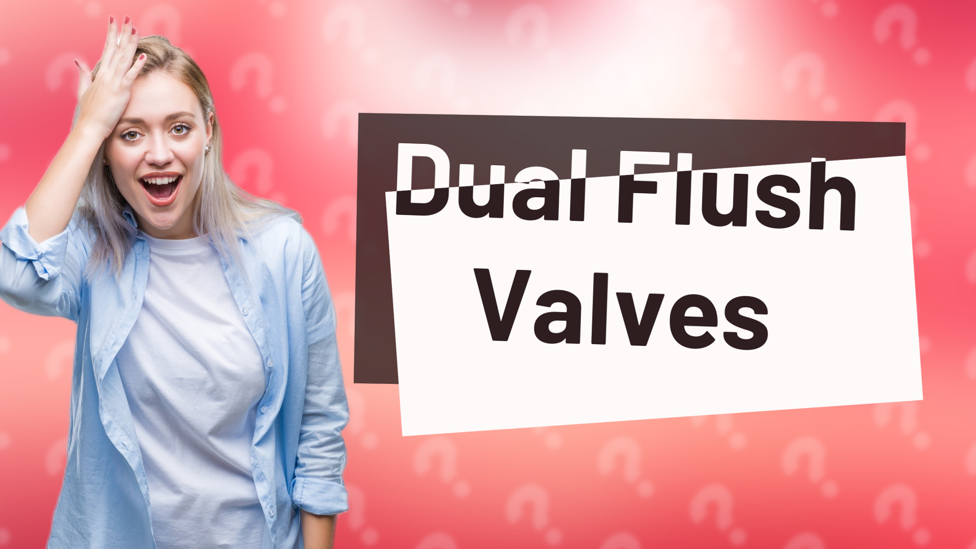 Dual Flush Valves