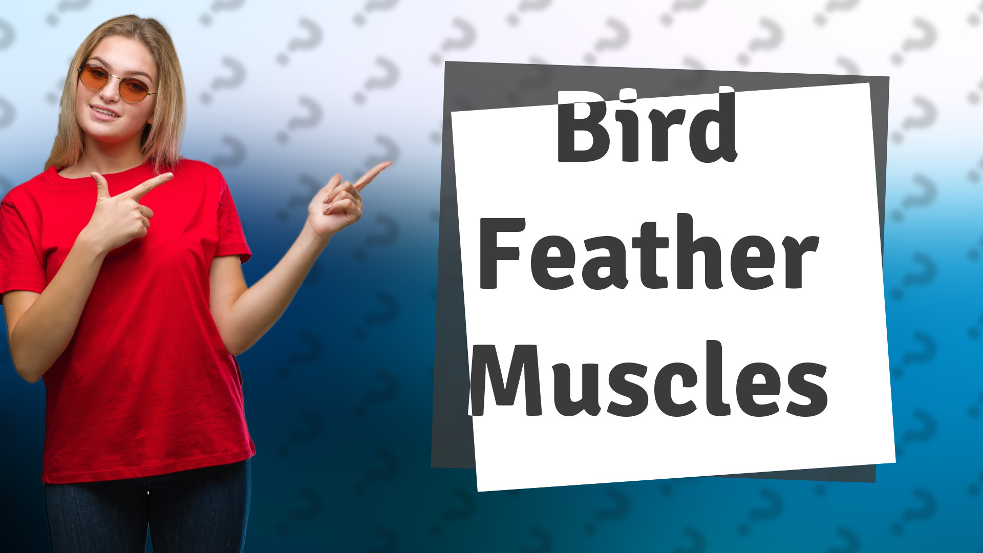 Bird Feather Muscles
