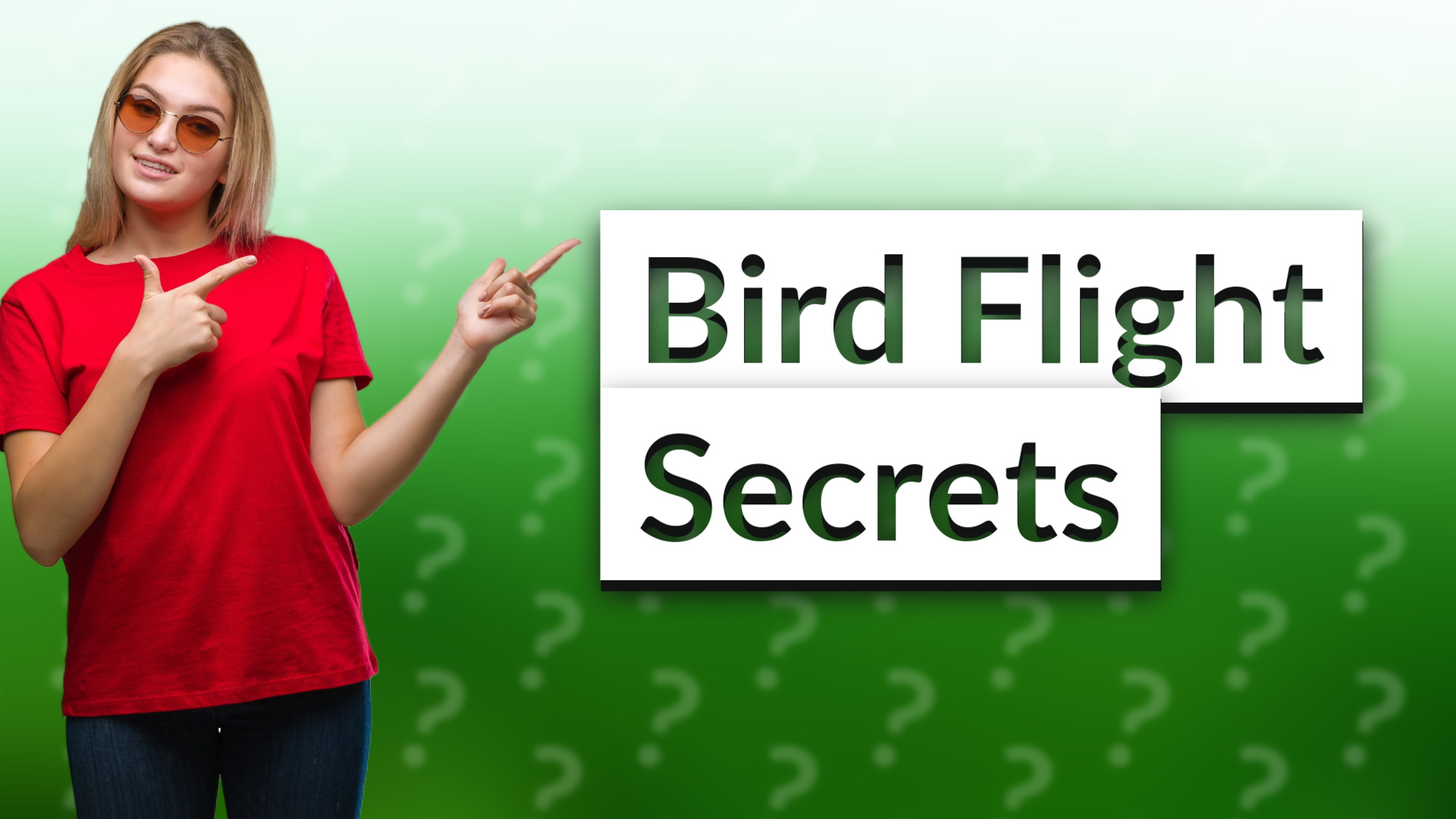 Bird Flight Secrets