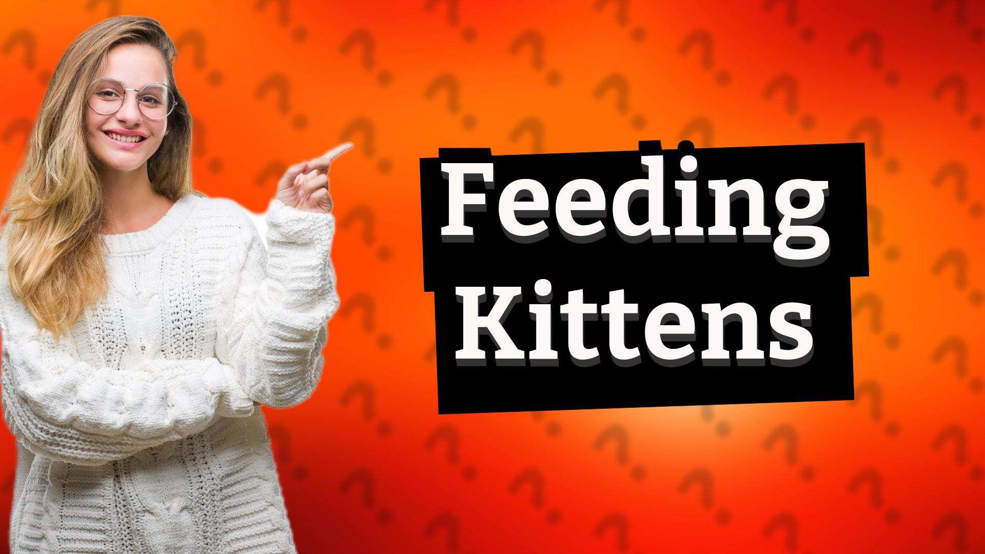 Feeding Kittens
