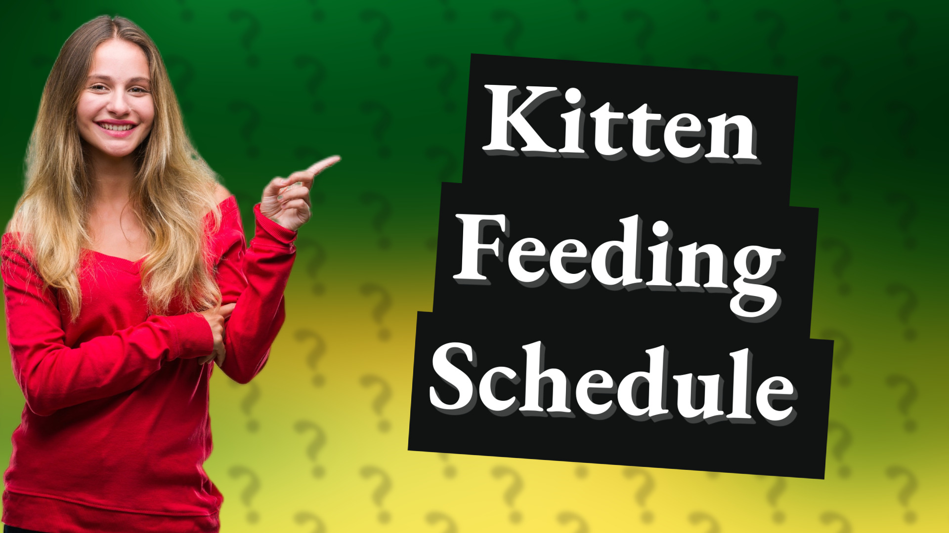 Kitten Feeding Schedule