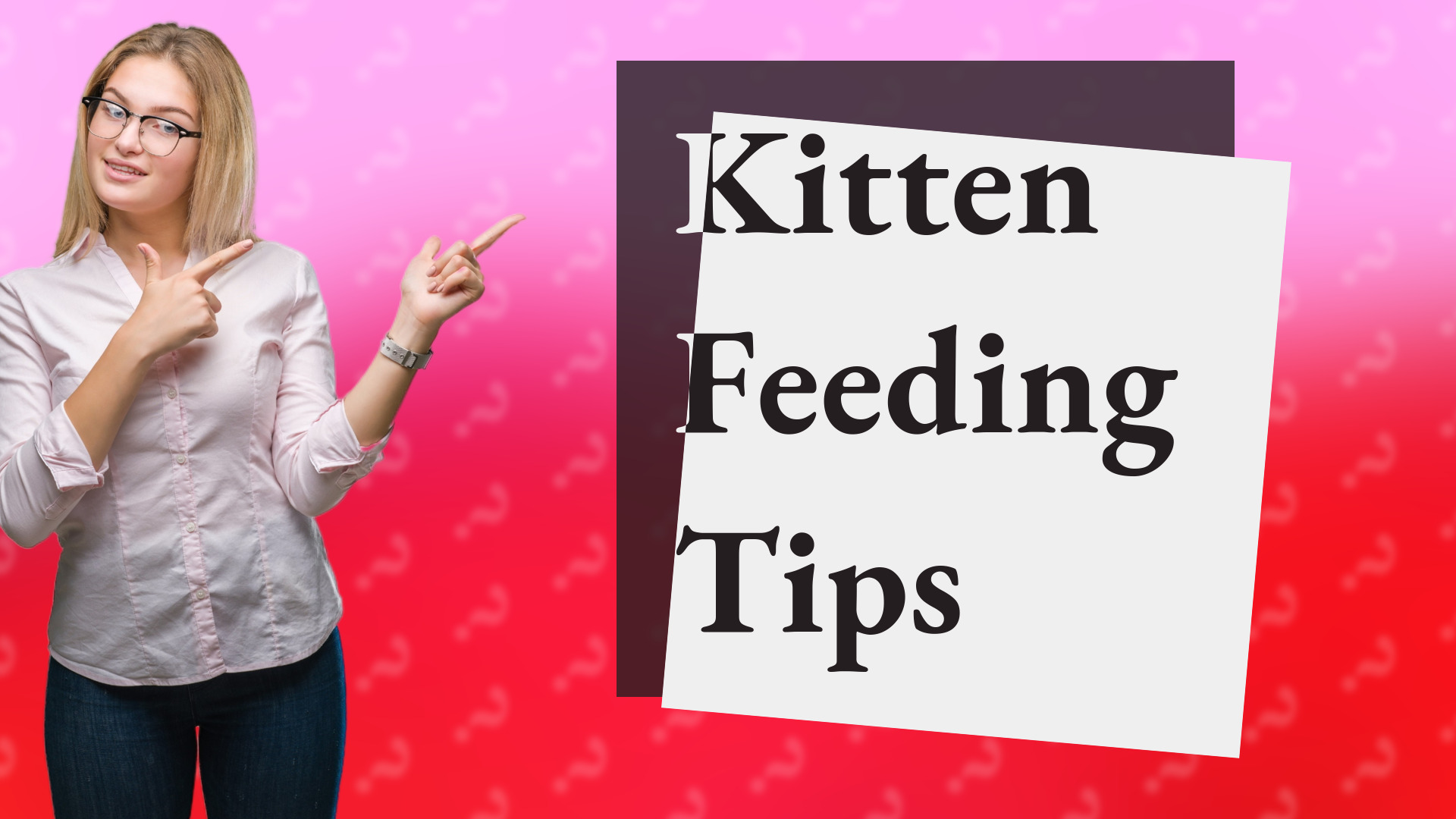 Kitten Feeding Tips