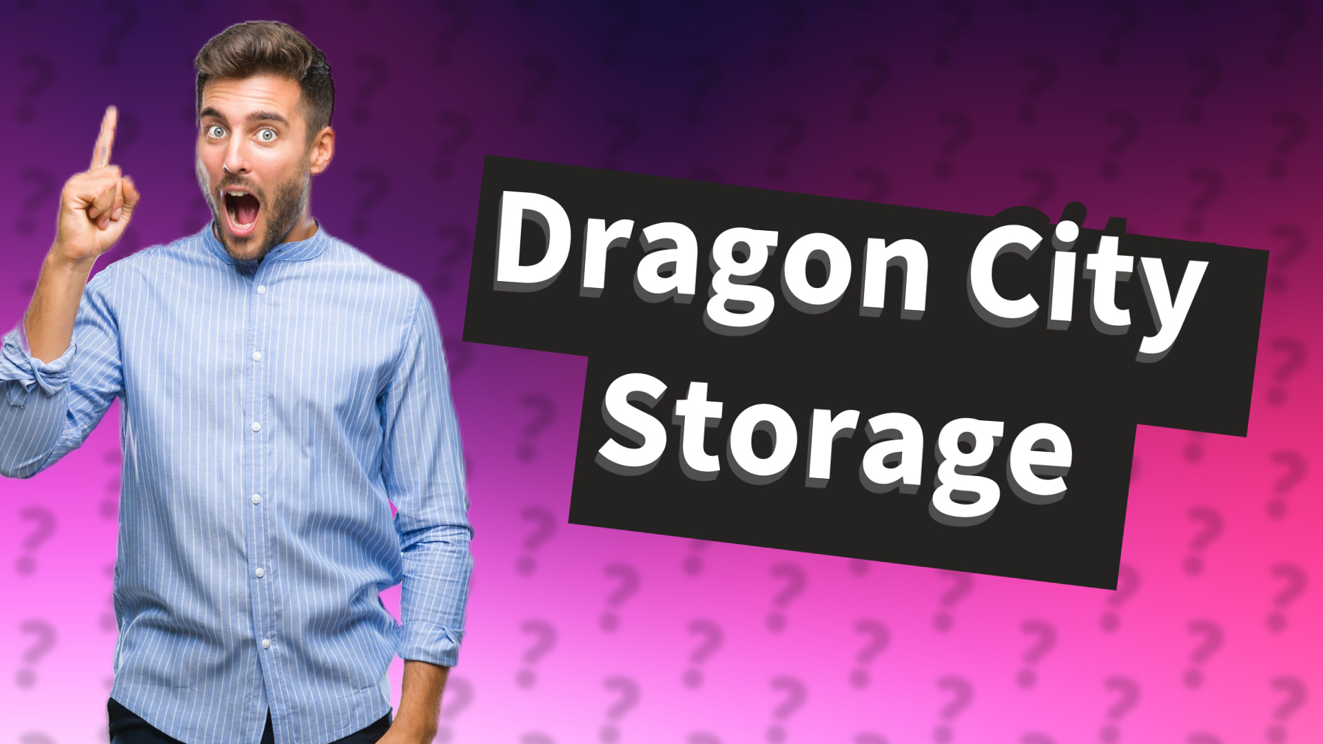 Dragon City Storage