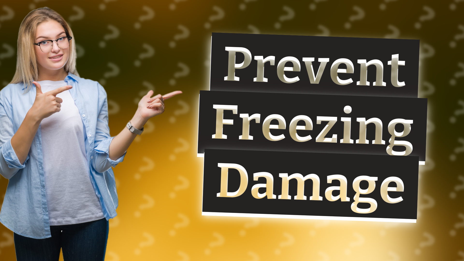 Prevent Freezing Damage