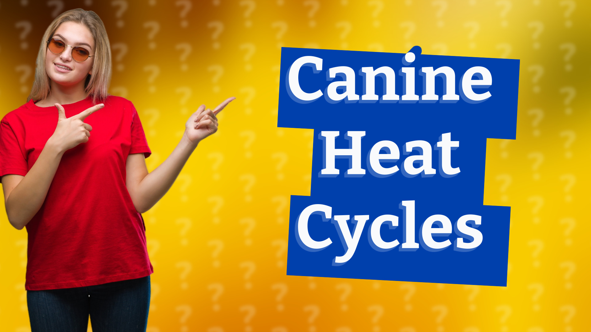 Canine Heat Cycles