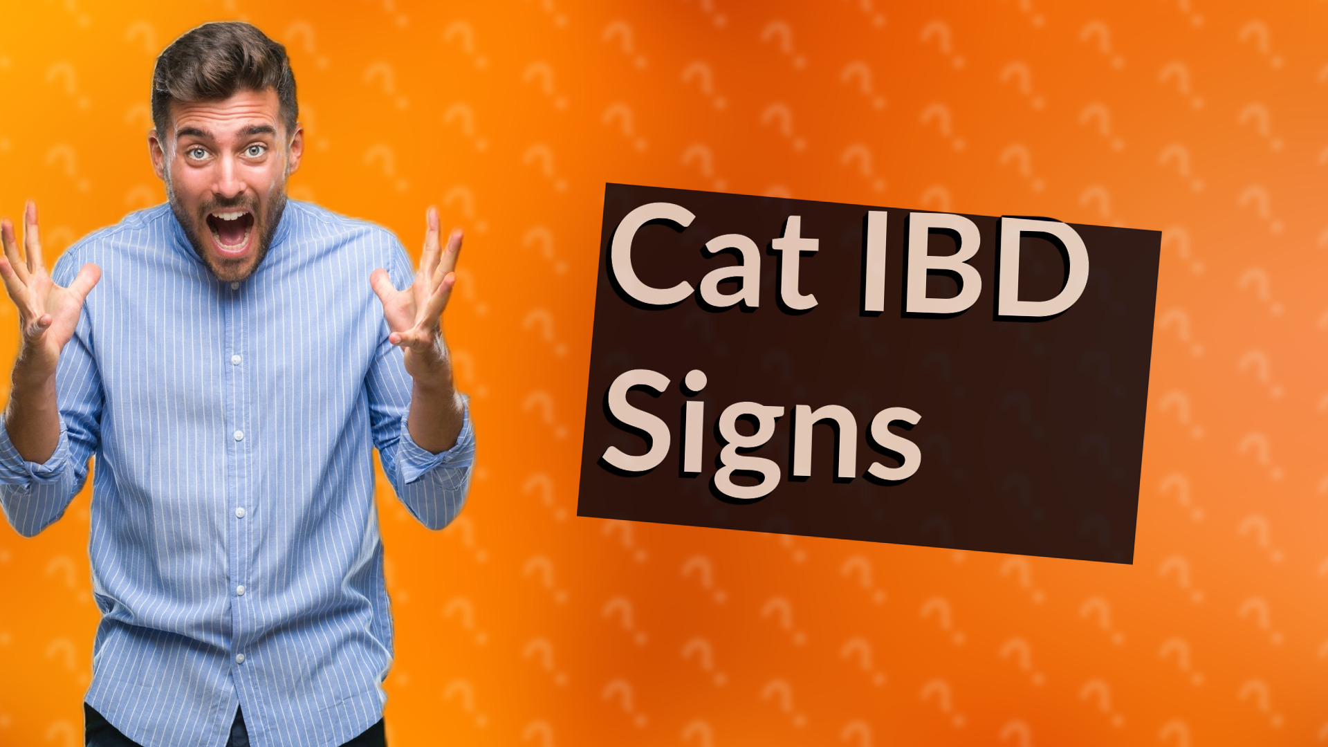Cat IBD Signs