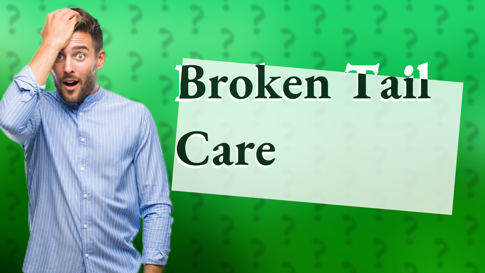 Broken Tail Care