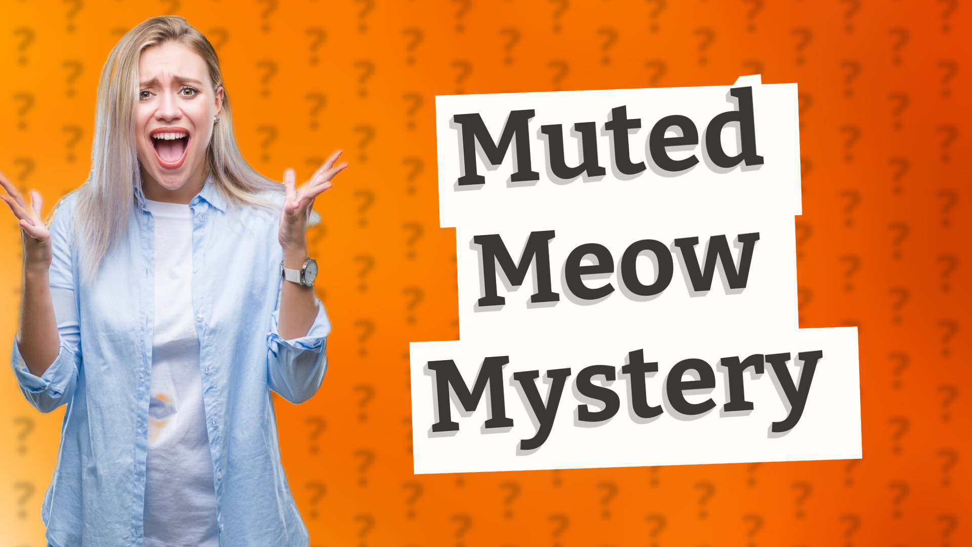 Muted Meow Mystery