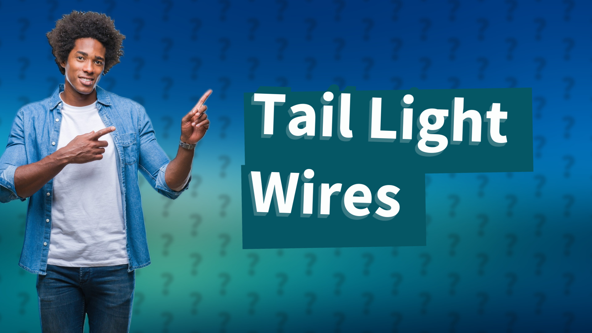 Tail Light Wires