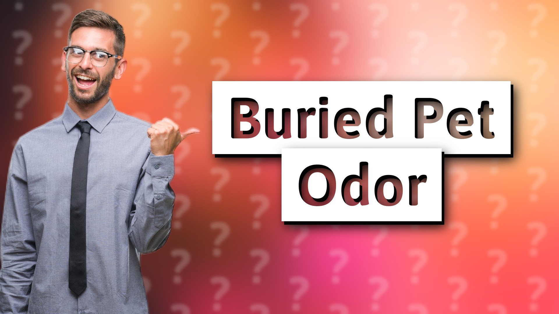 Buried Pet Odor