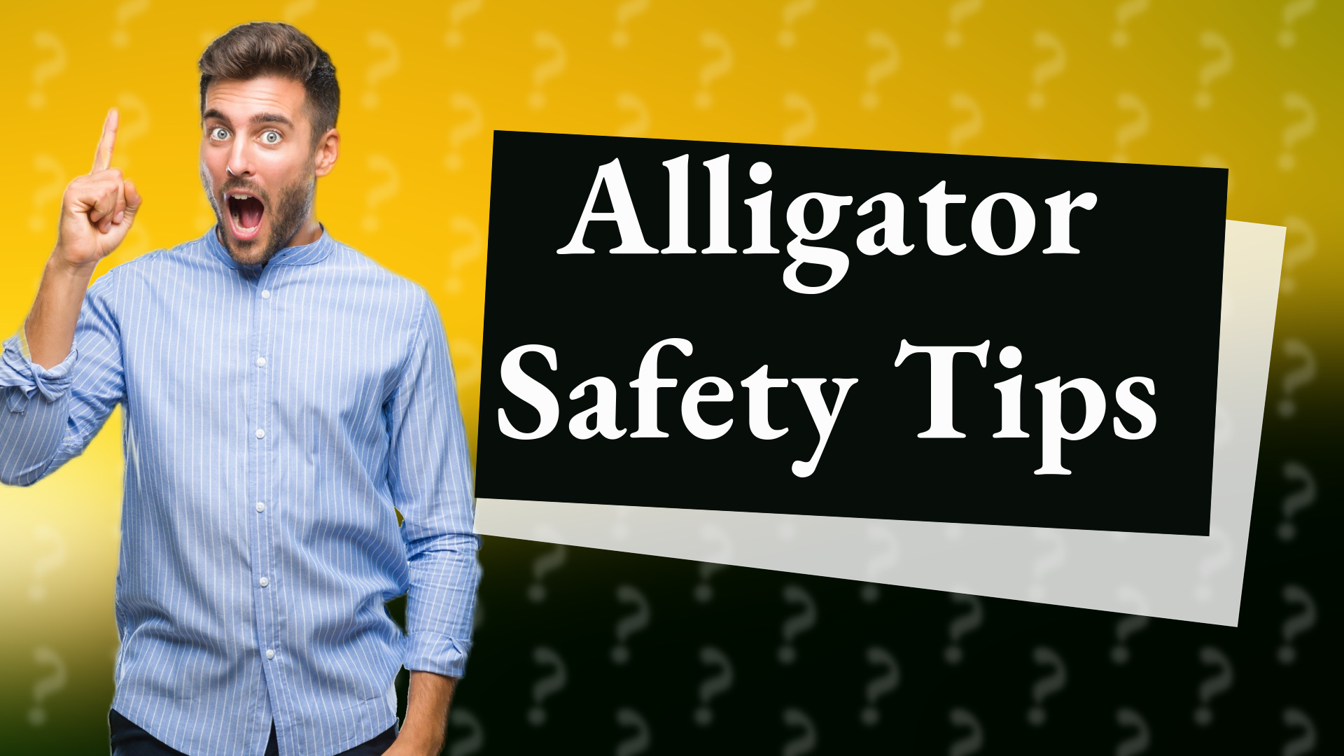 Alligator Safety Tips
