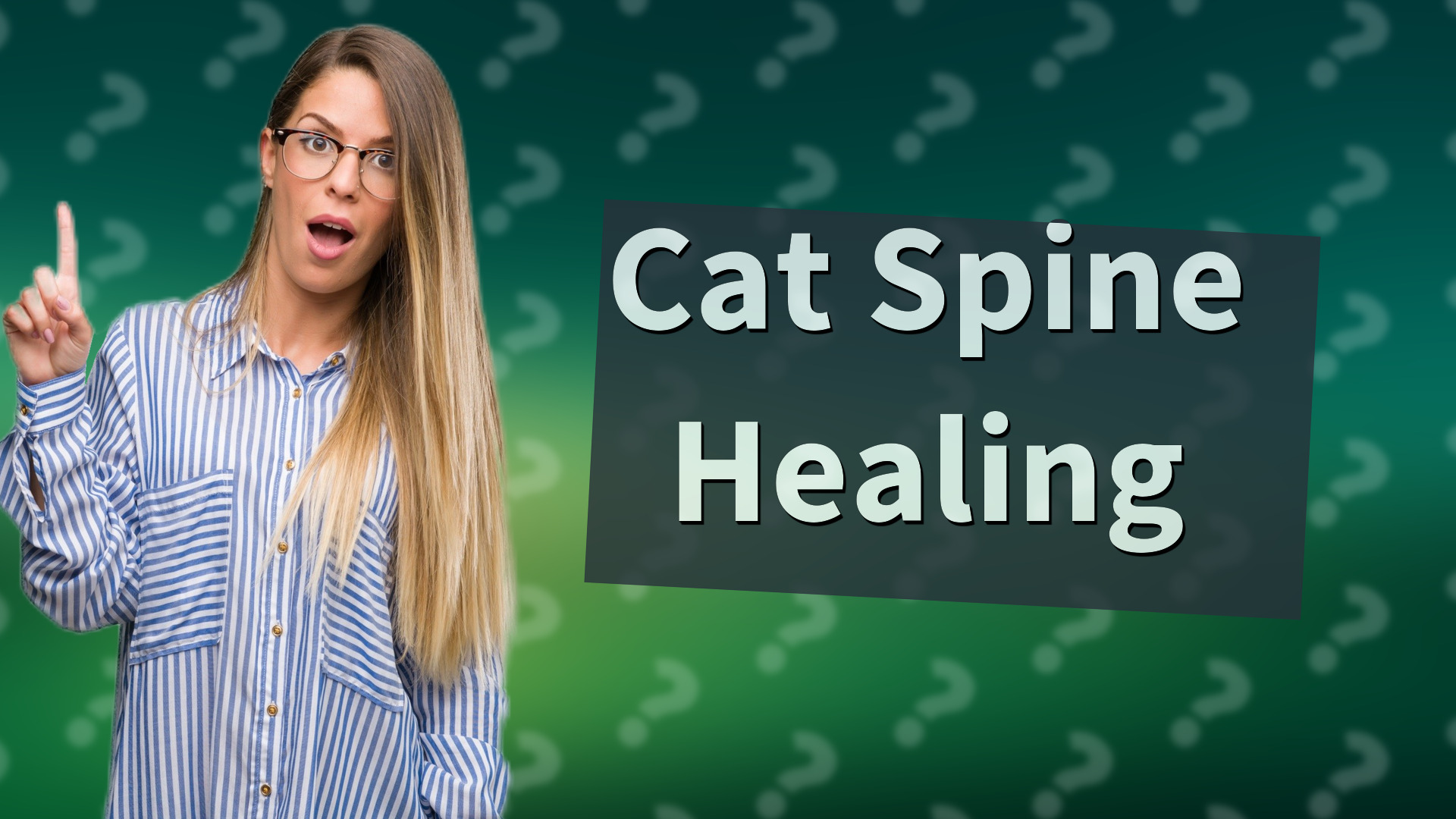 Cat Spine Healing