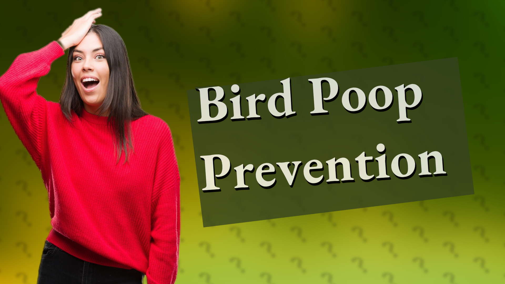 Bird Poop Prevention