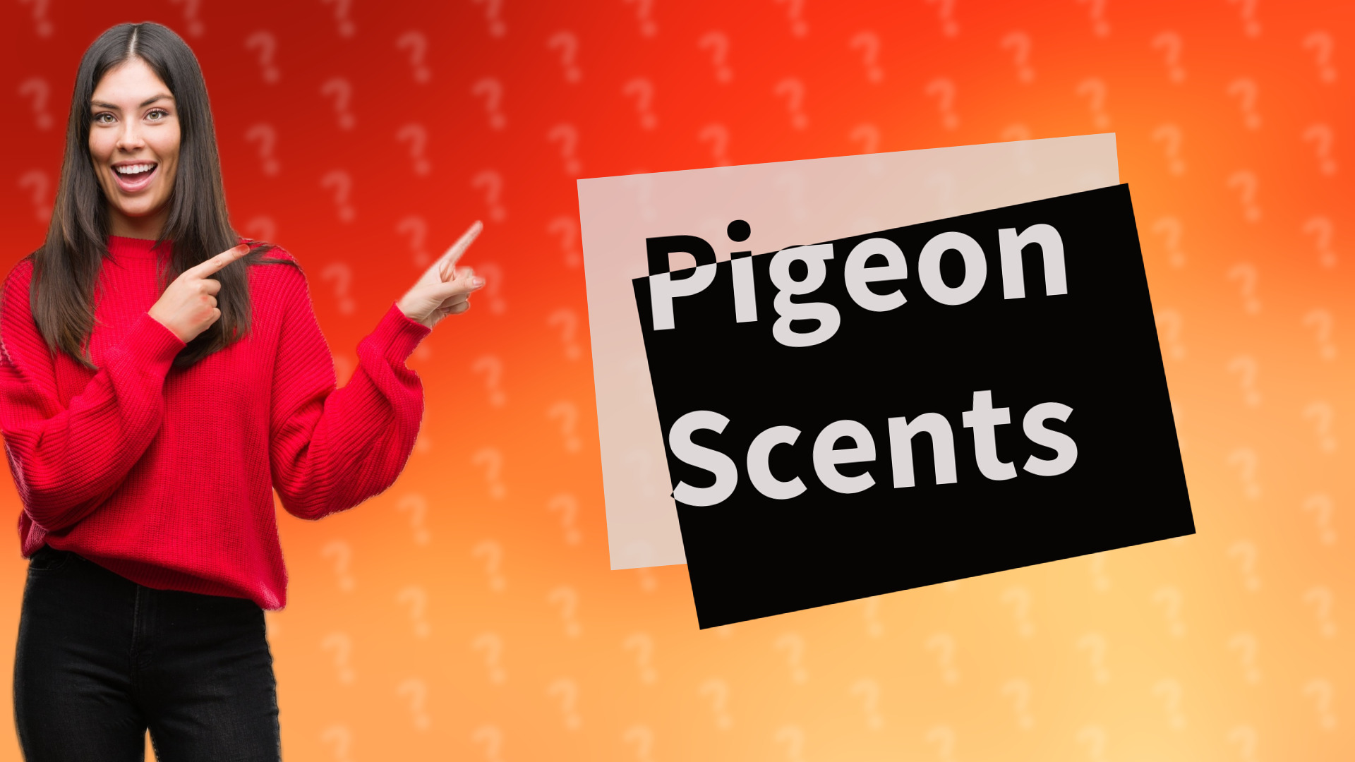 Pigeon Scents