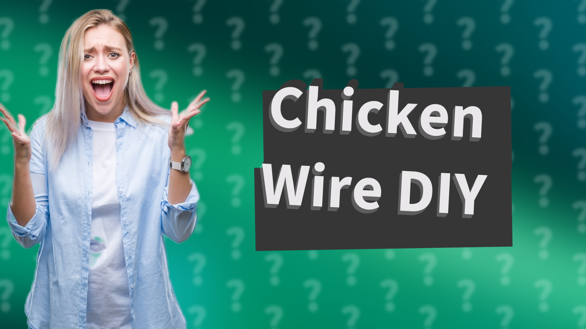 Chicken Wire DIY