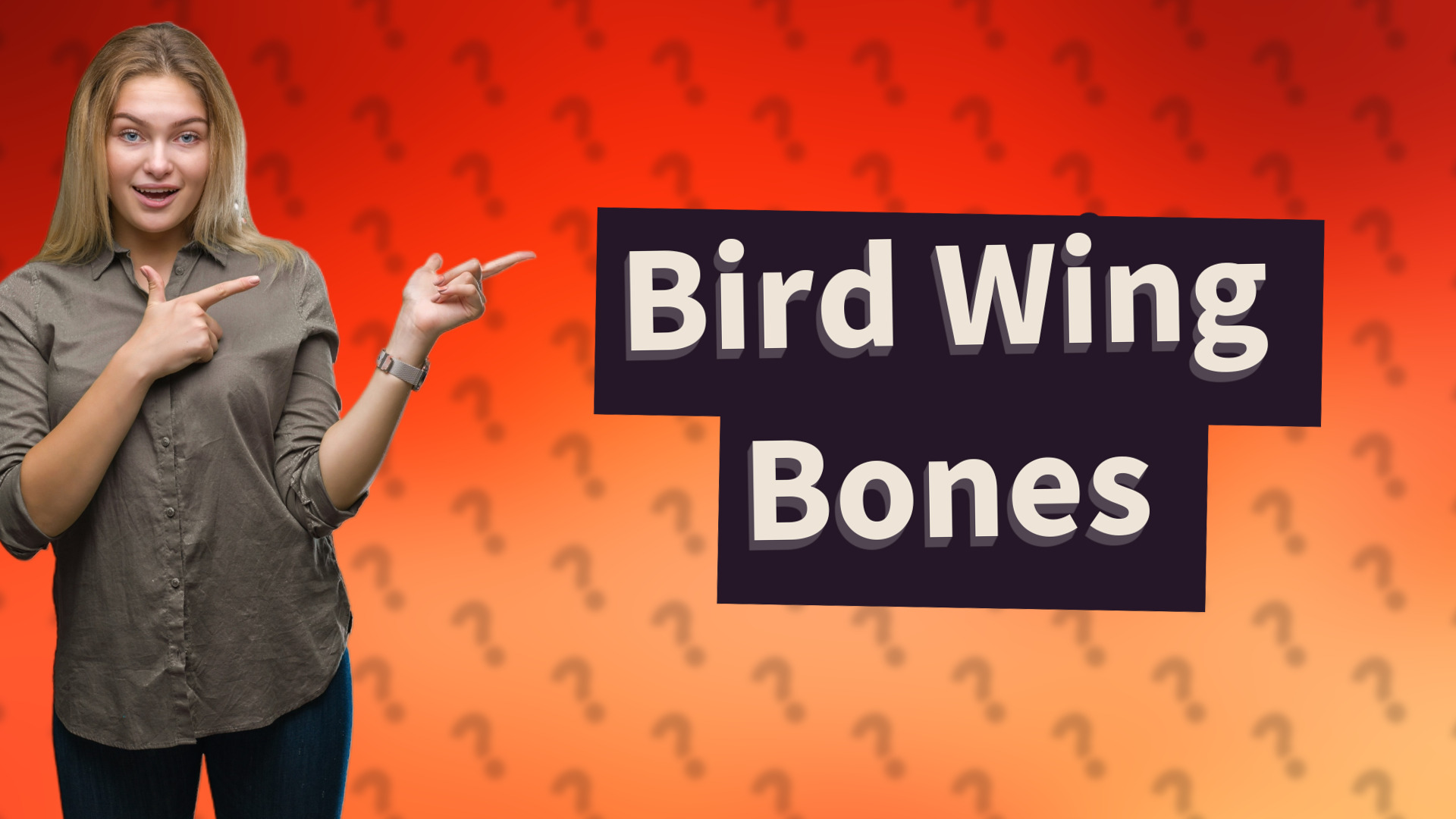 Bird Wing Bones