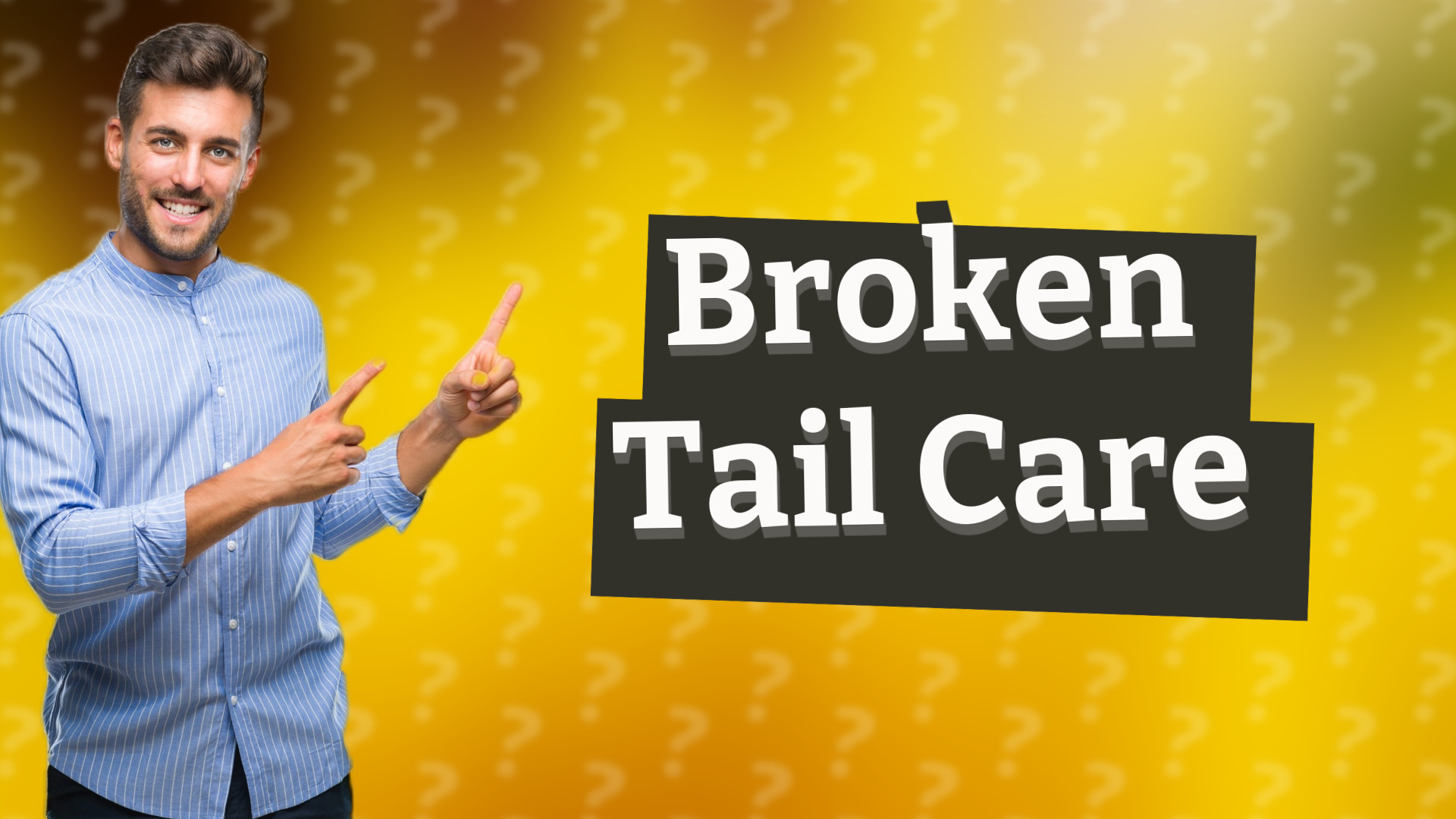 Broken Tail Care