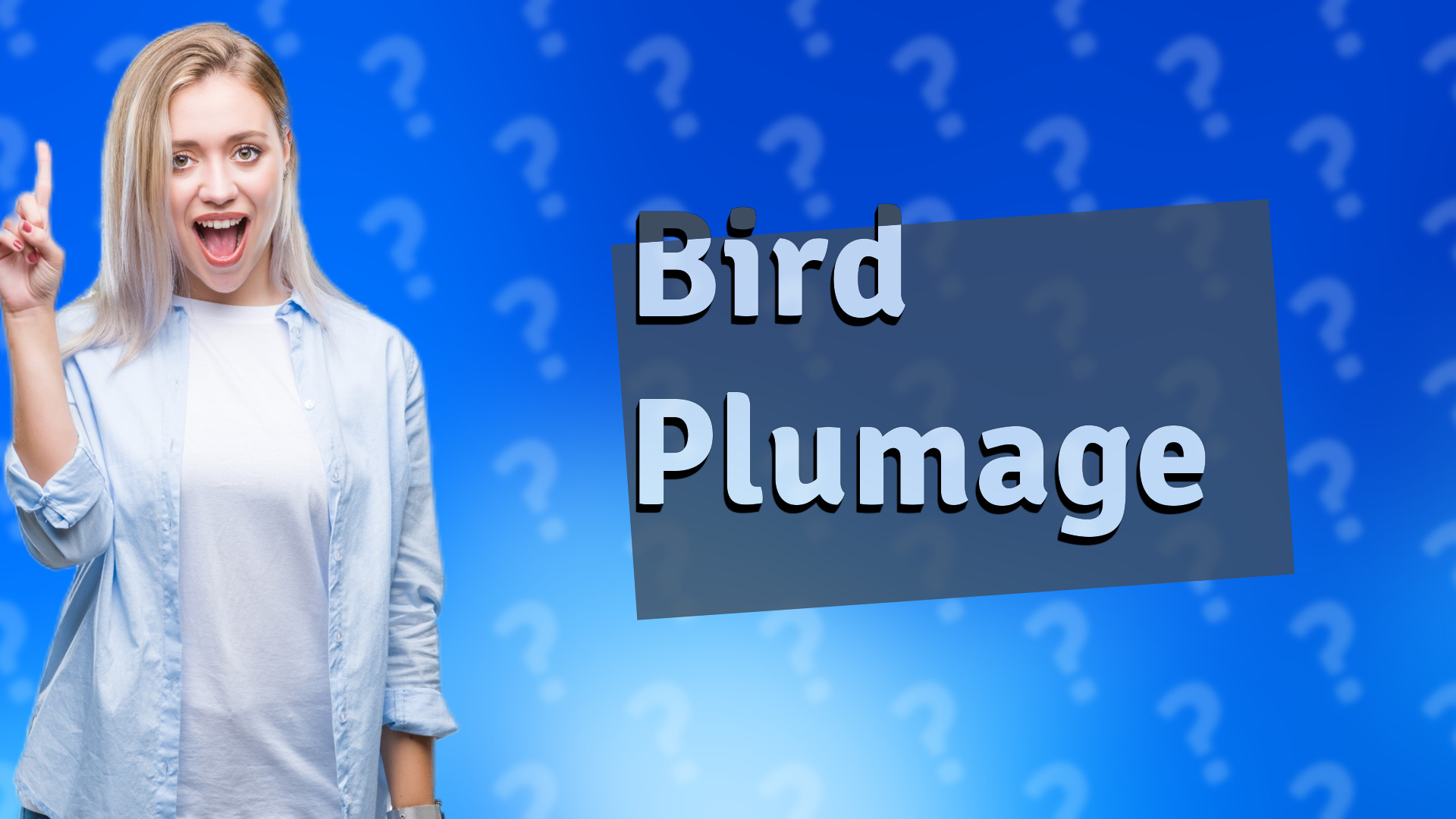 Bird Plumage