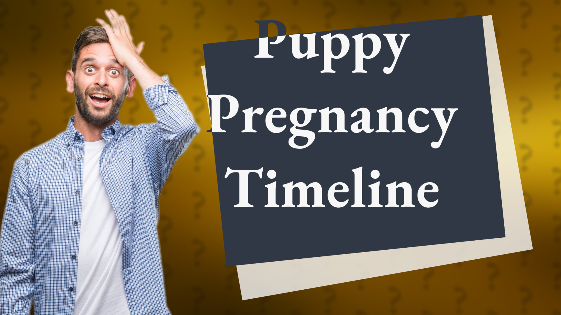 Puppy Pregnancy Timeline