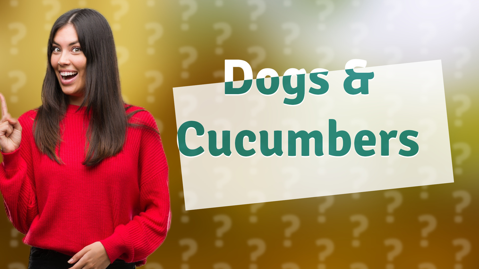 Dogs & Cucumbers