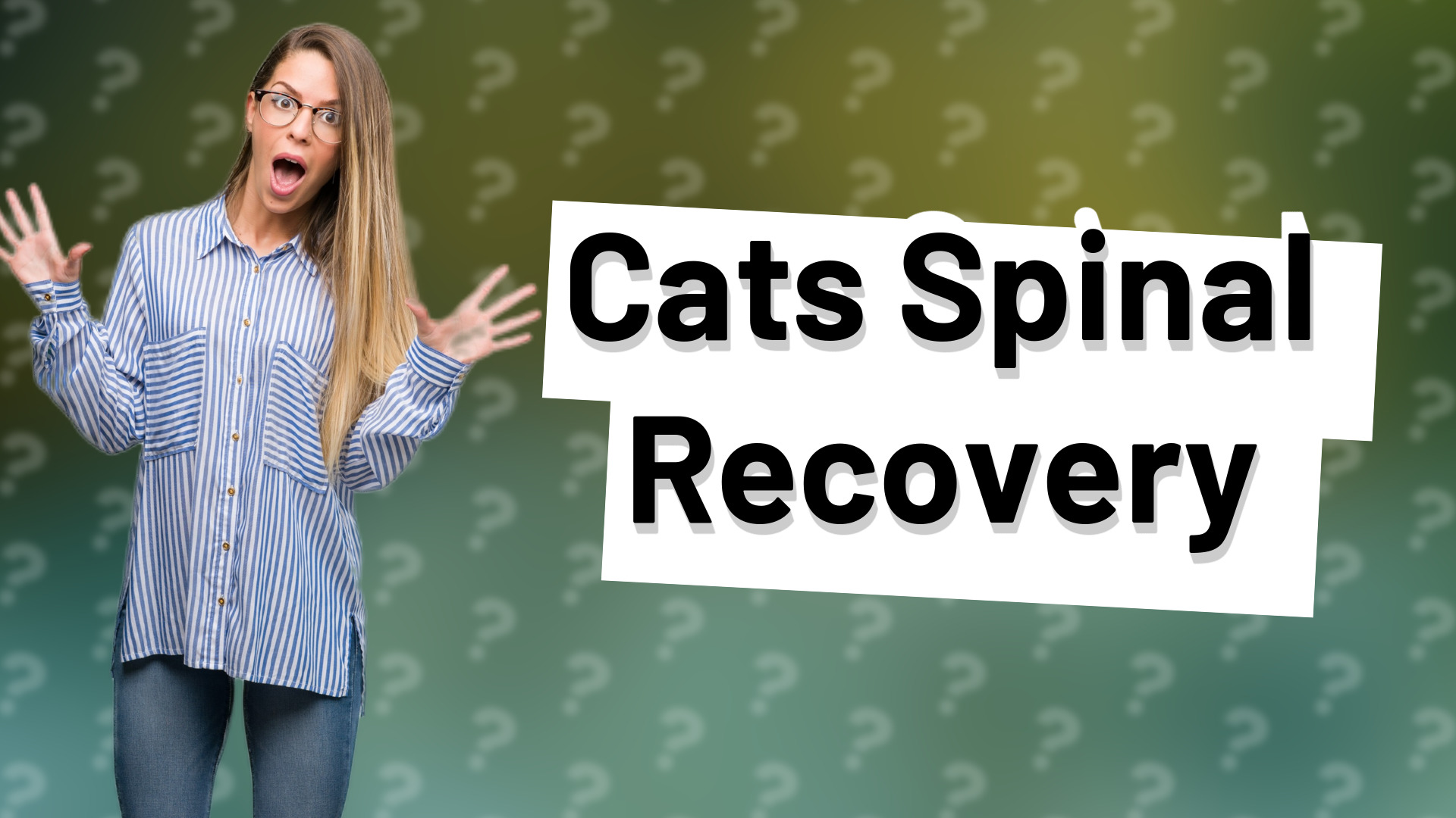 Cats Spinal Recovery