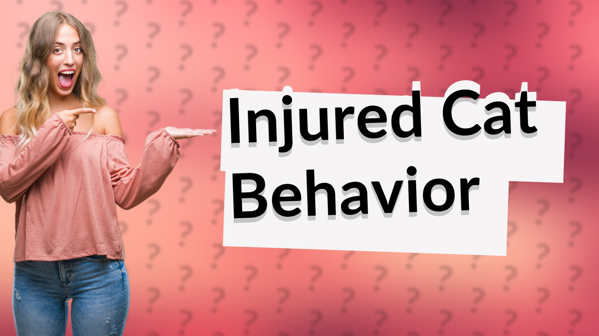 Injured Cat Behavior
