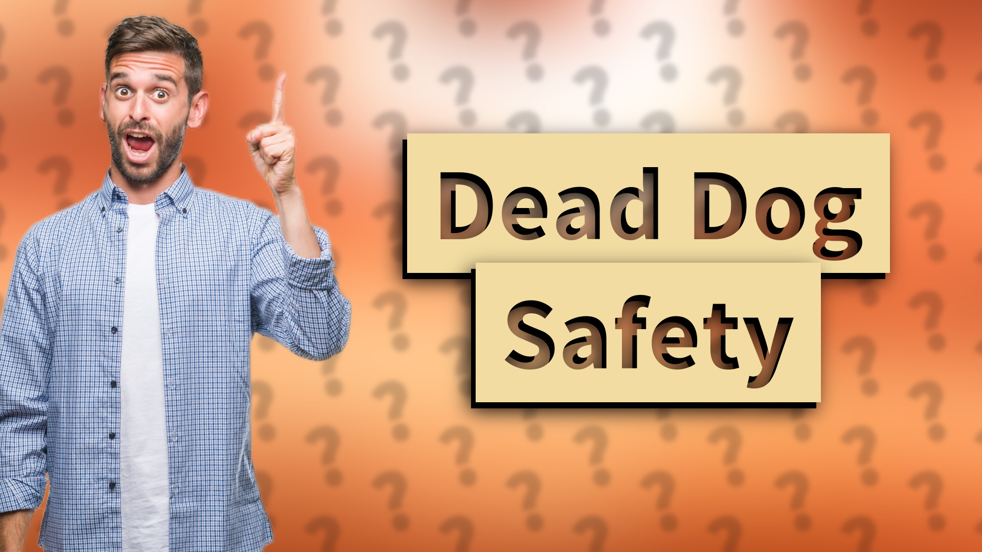 Dead Dog Safety