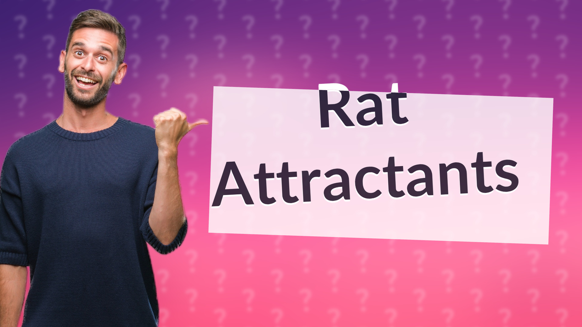 Rat Attractants