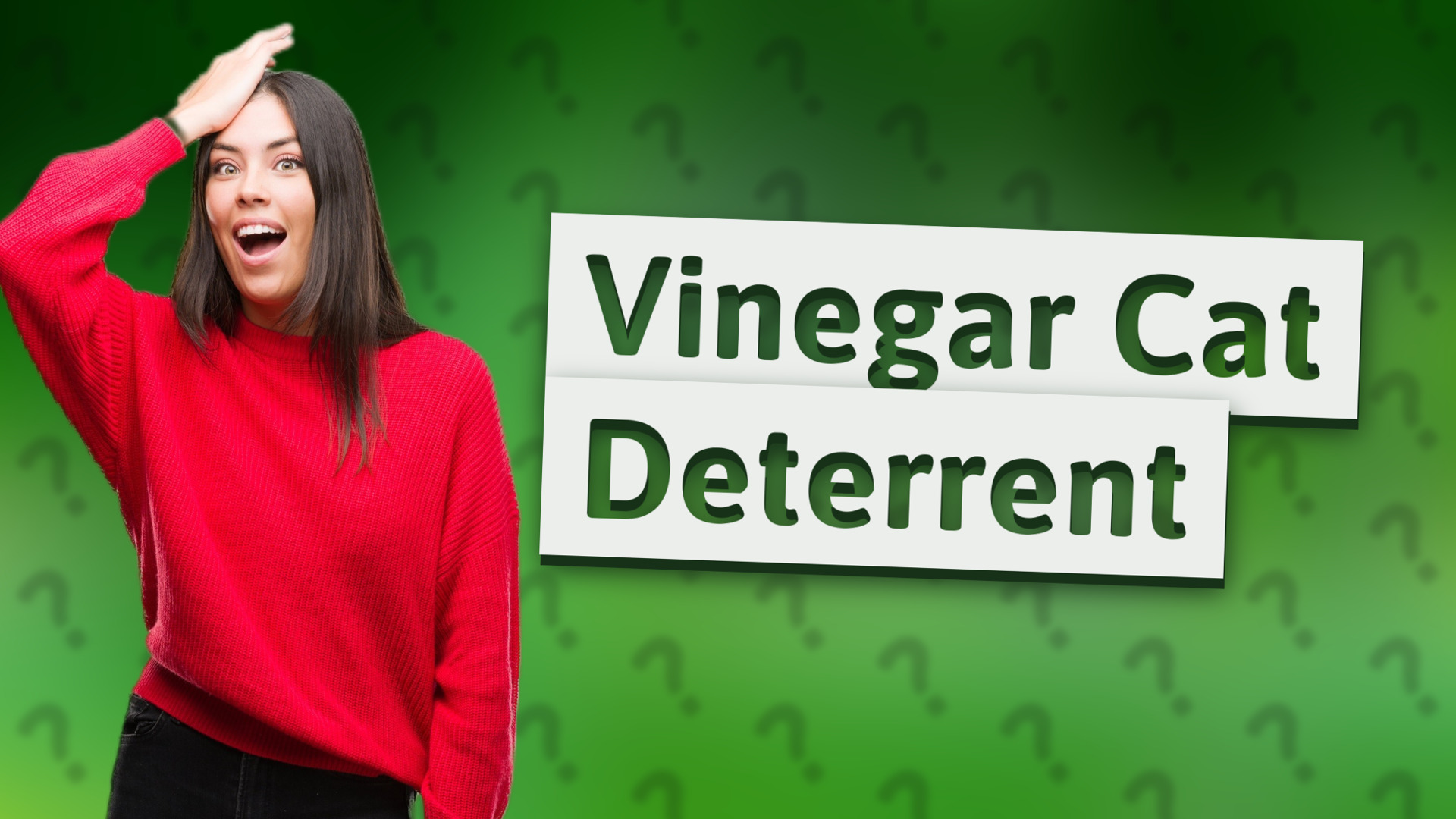 Vinegar Cat Deterrent