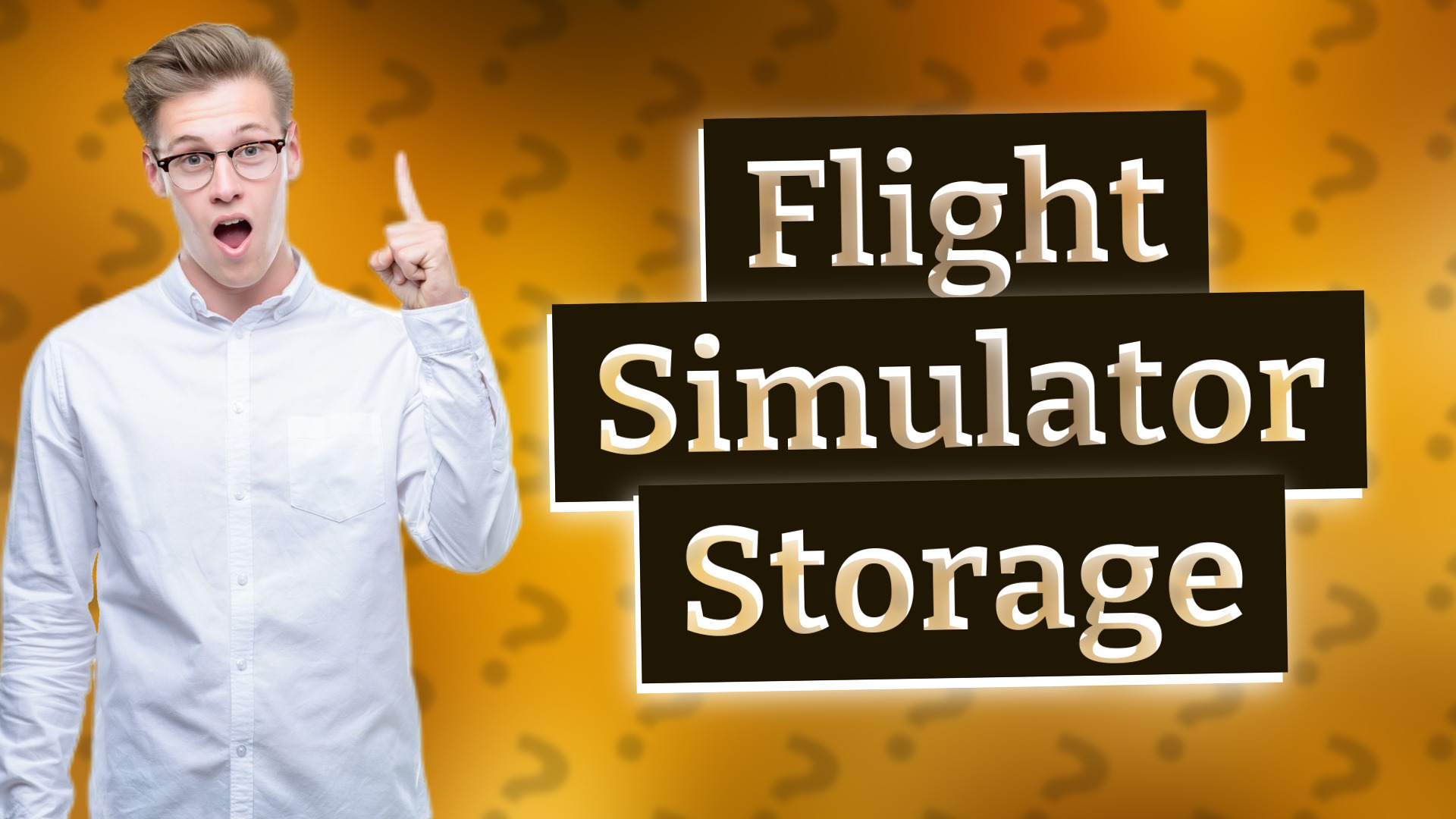 Flight Simulator Storage