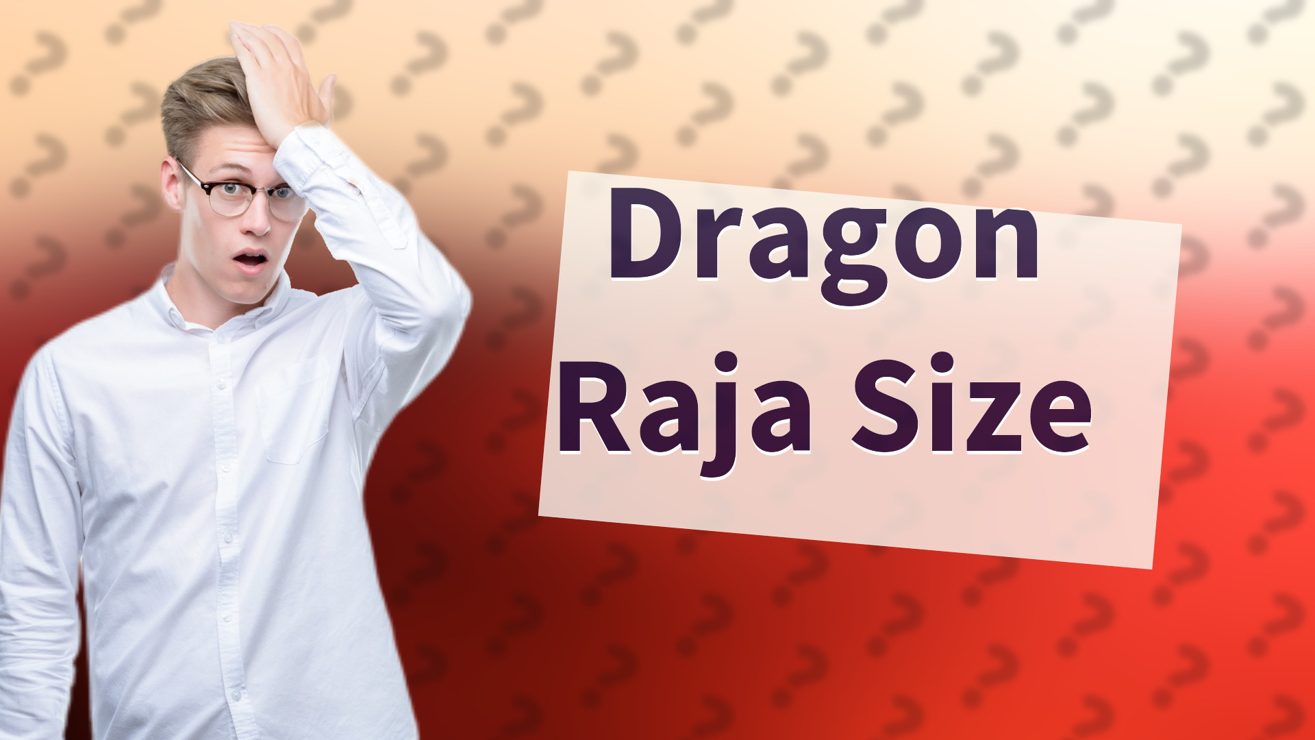 Dragon Raja Size