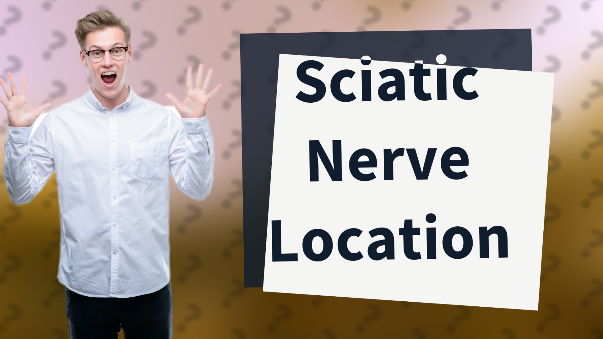 Sciatic Nerve Location