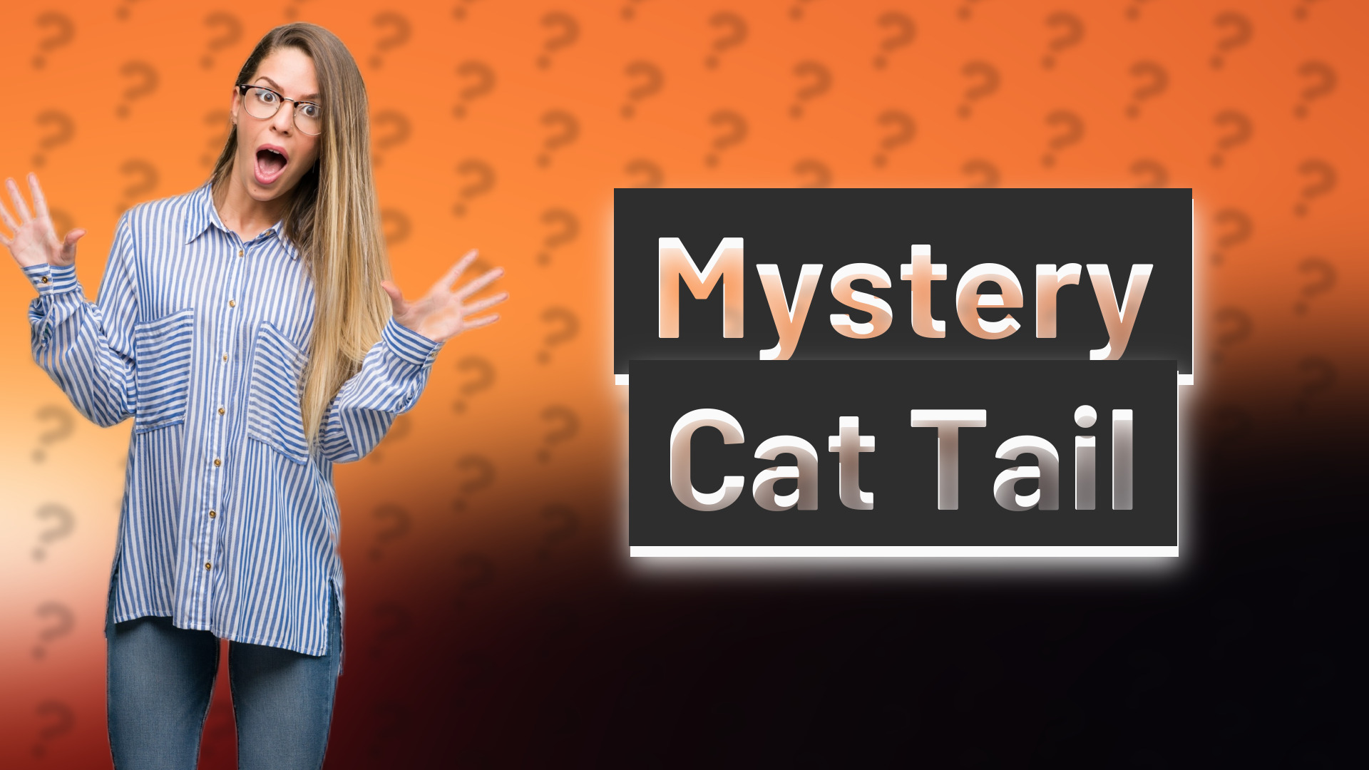 Mystery Cat Tail