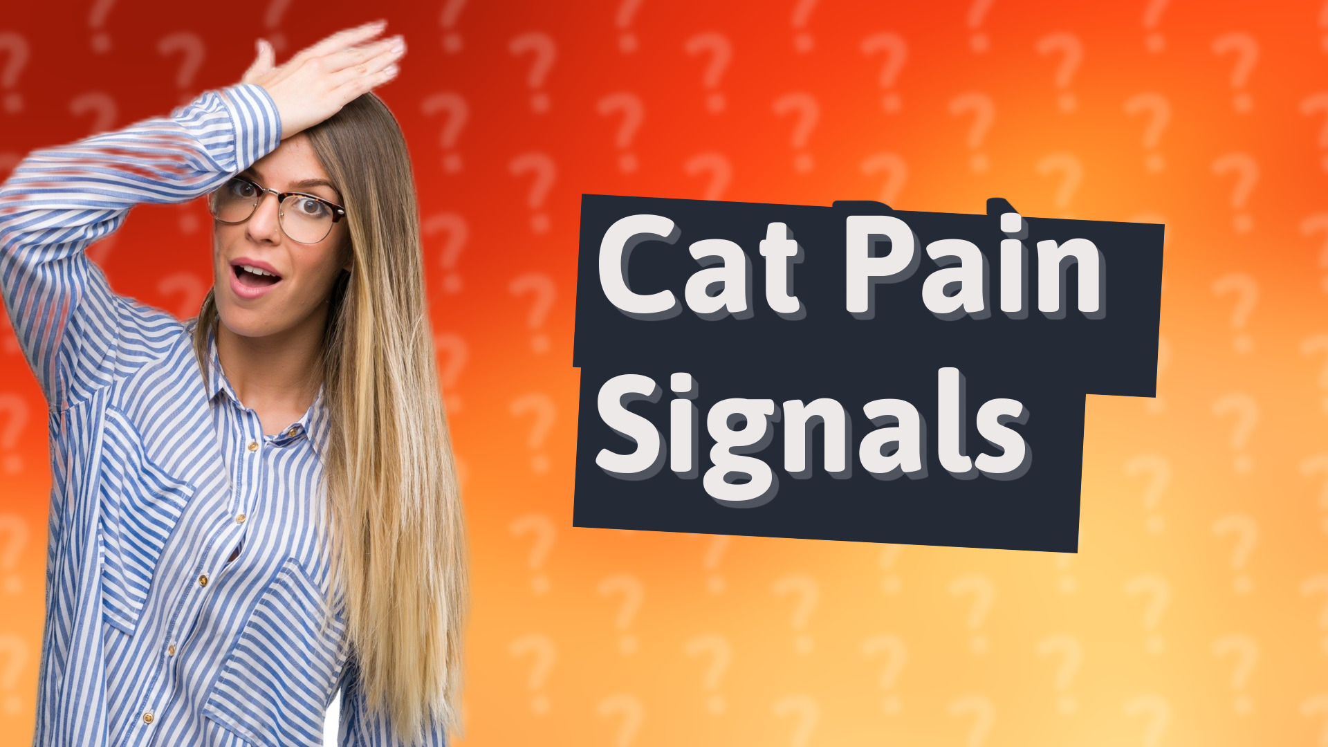 Cat Pain Signals