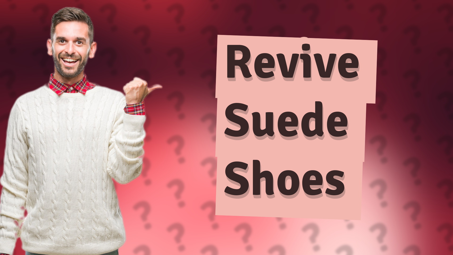 Revive Suede Shoes
