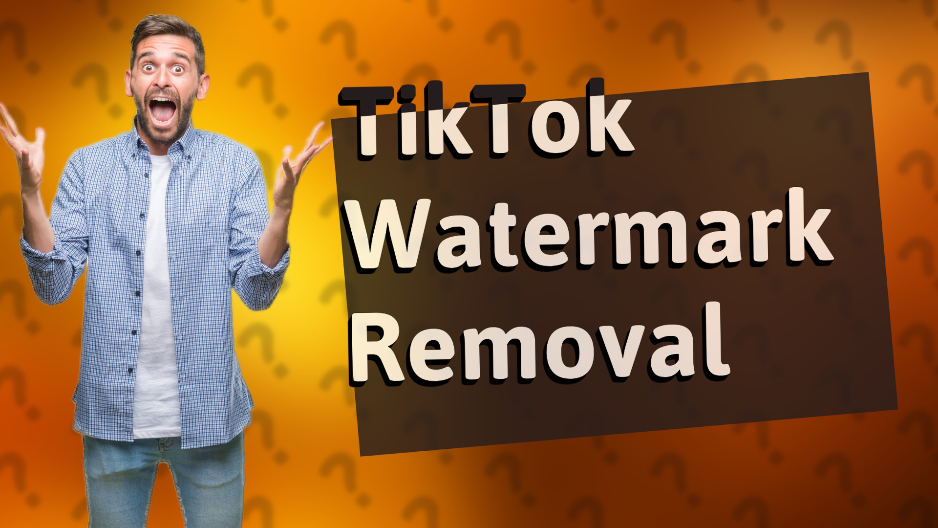 TikTok Watermark Removal