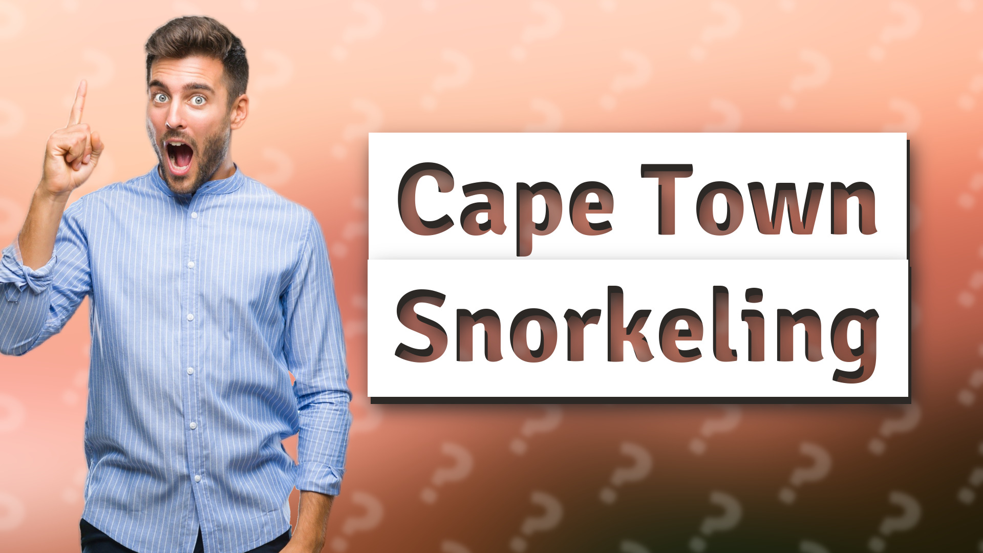 Cape Town Snorkeling