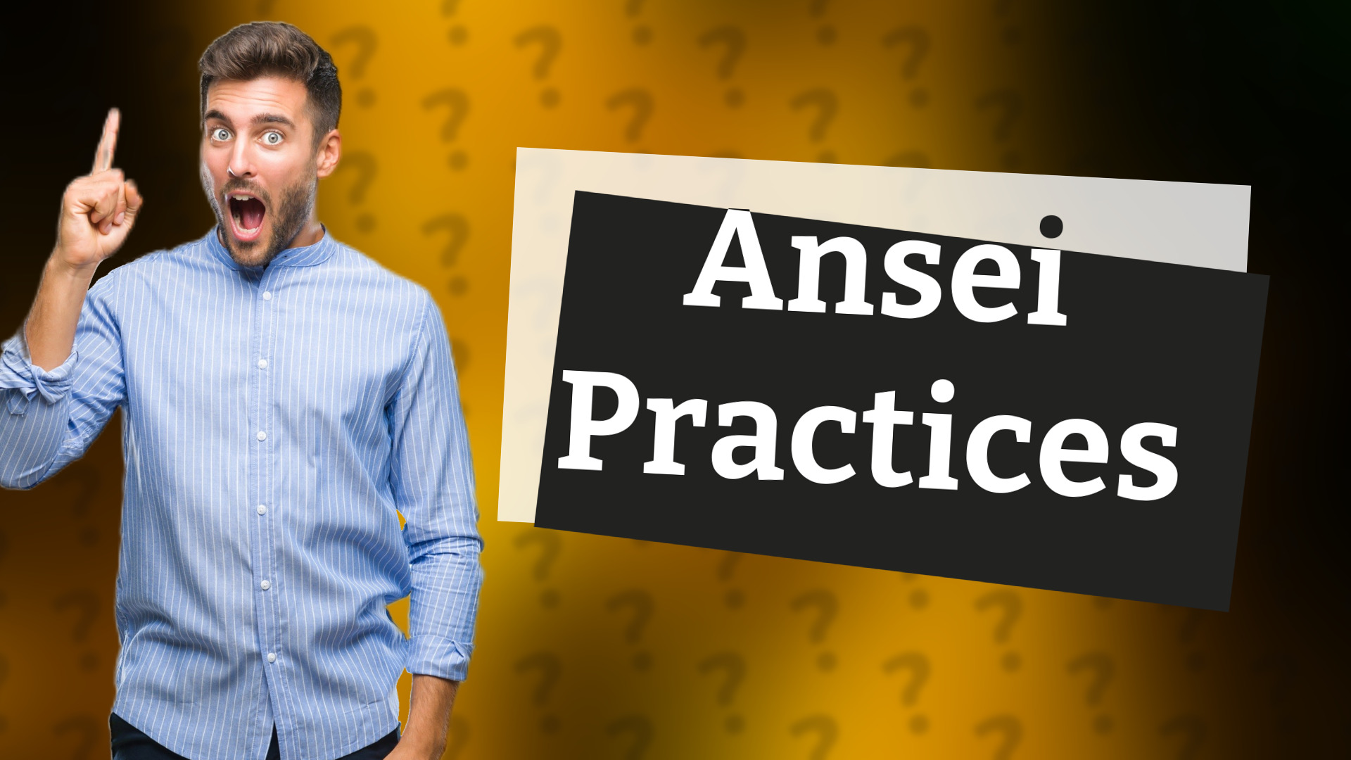 Ansei Practices