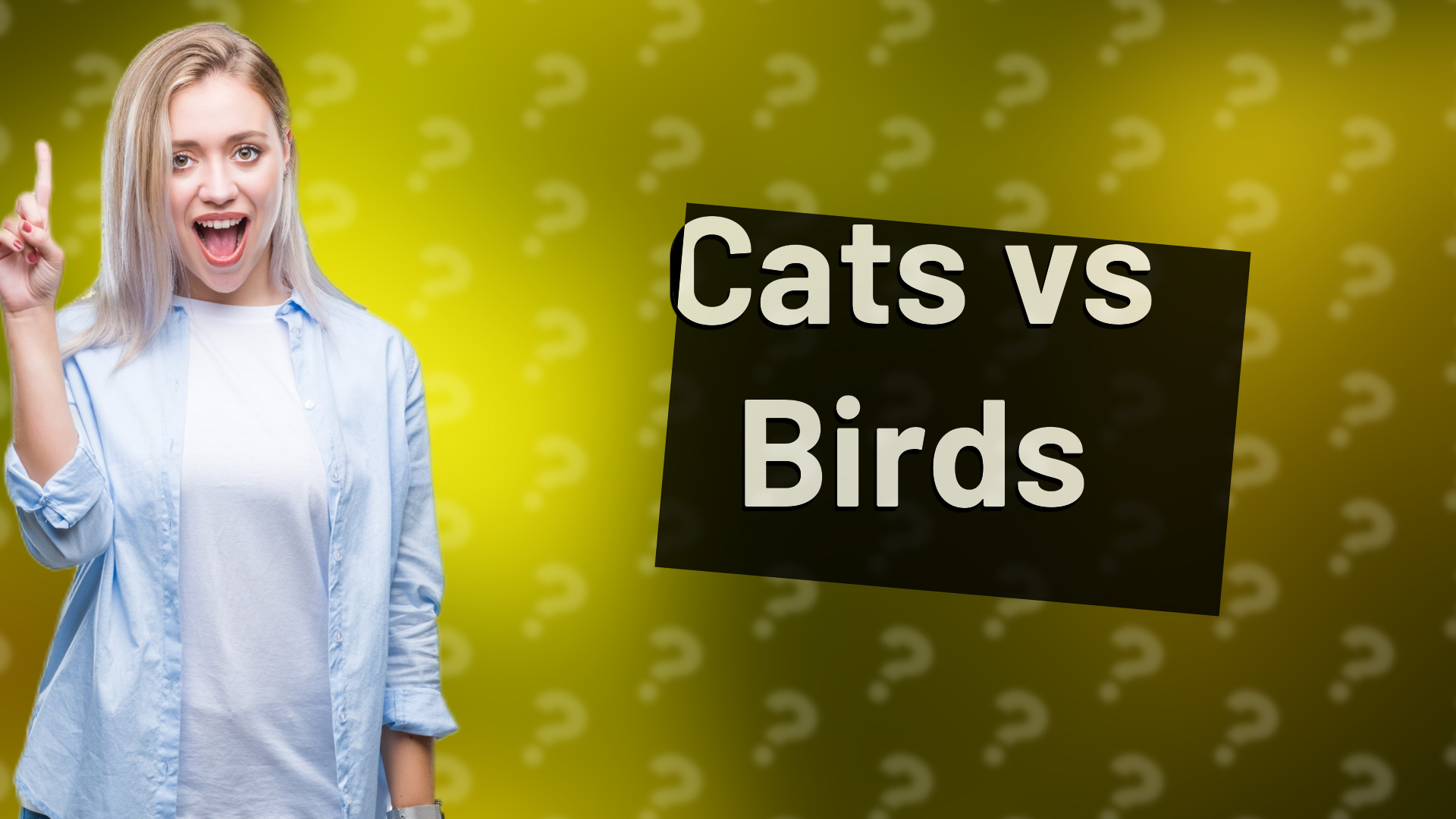 Cats vs Birds