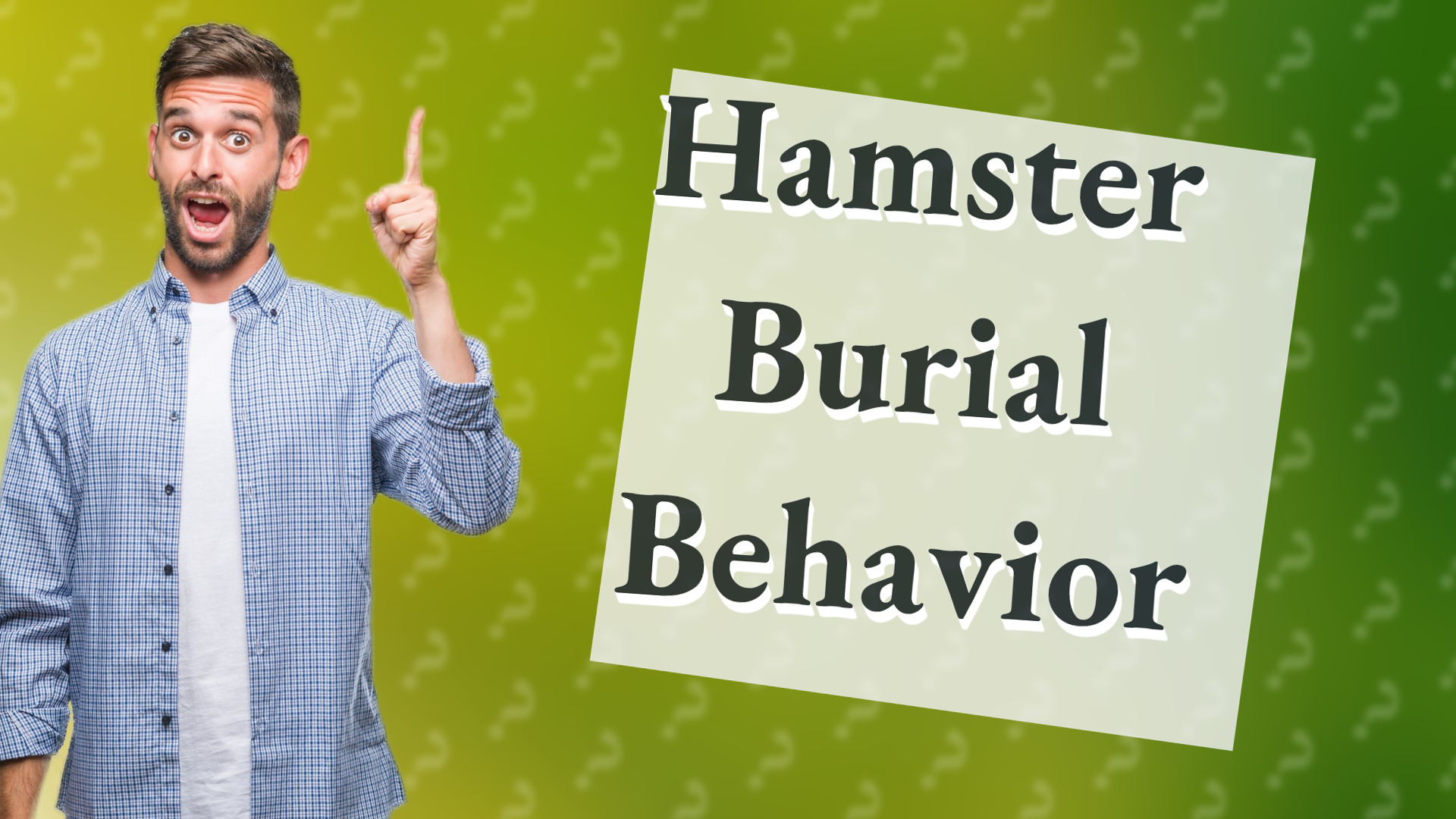Hamster Burial Behavior