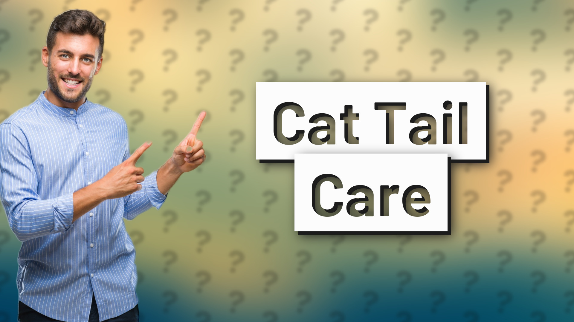Cat Tail Care